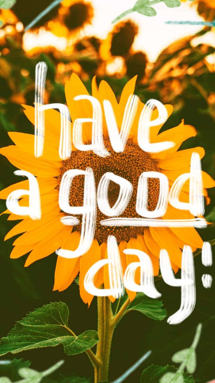 Sunflower Quotes 桌布 壁紙 — 一朵鮮豔的向日葵，在溫暖的金色背景上，以粗體白色筆觸文字寫著「have a good day!」。