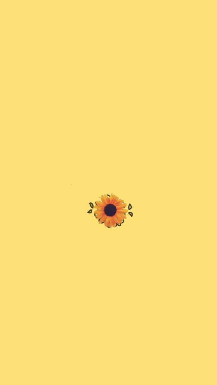 Sunflower Yellow 桌布 壁紙 — 一朵鮮豔的向日葵，深色花心，橙色花瓣，獨自漂浮在純淡黃色背景上。