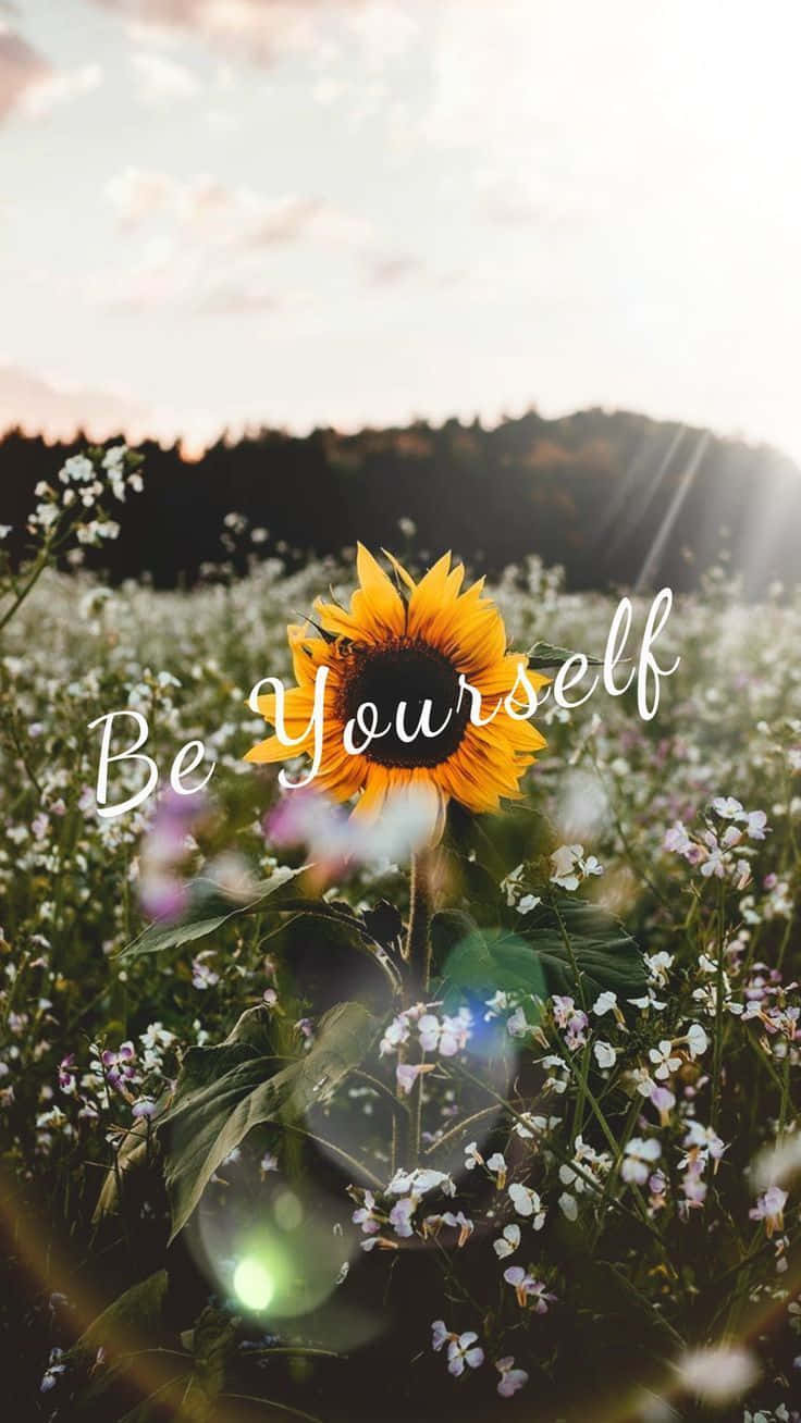 Motivational Quotes 桌布 壁紙 — 一朵鮮豔的向日葵在野花田裡盛開，金色的陽光穿過雲層。