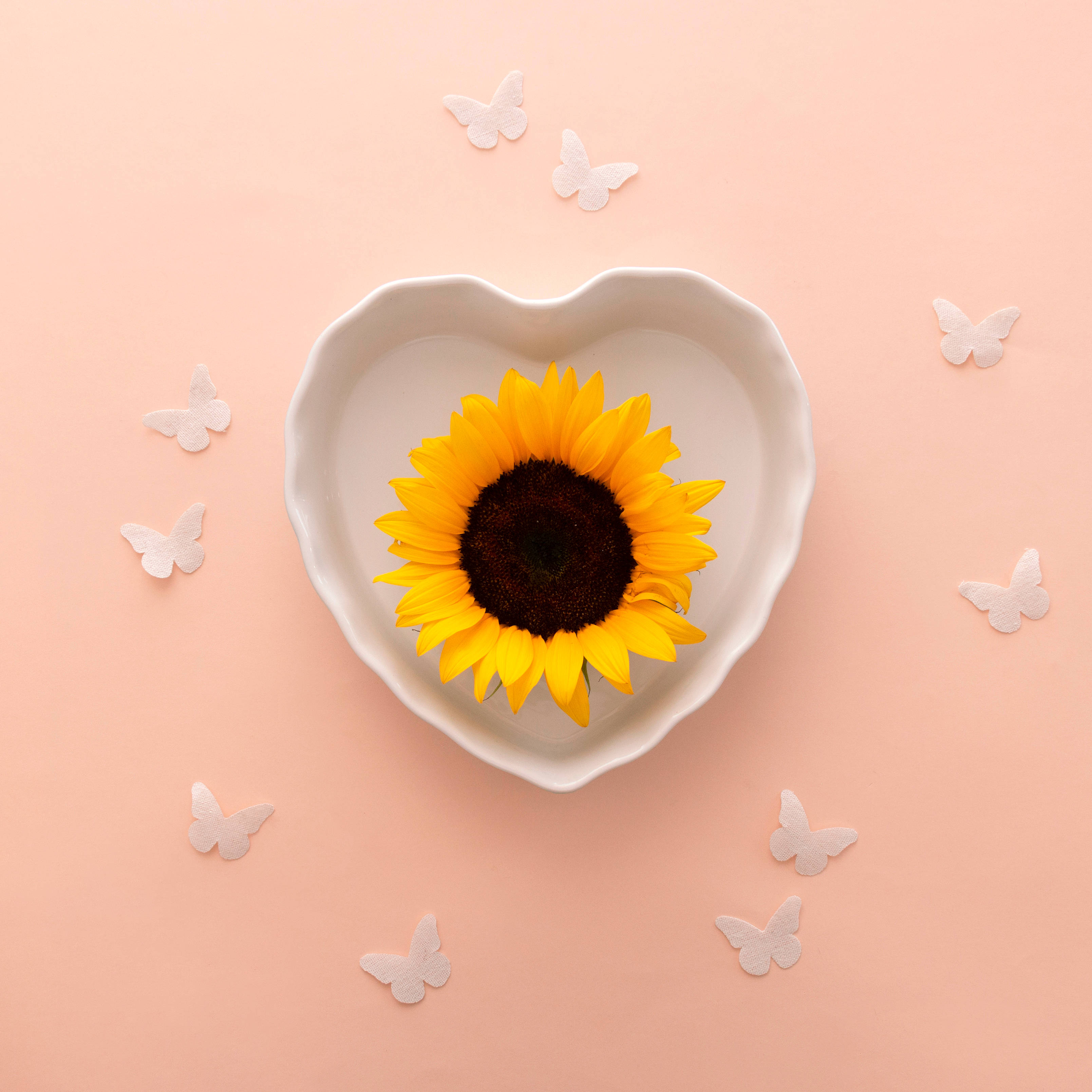Sunflower Aesthetic 桌布 壁紙 — 一朵鮮豔的向日葵放在白色心形碗中，周圍環繞著精緻的白色蝴蝶，背景是柔和的桃色。