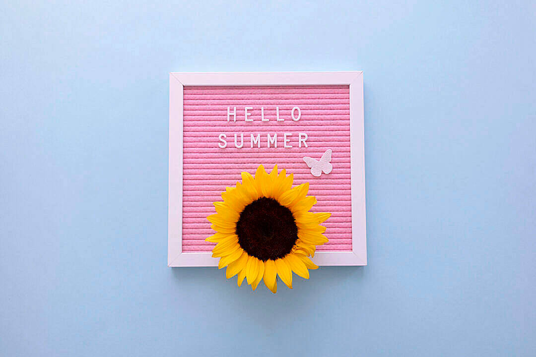 Sunflower Aesthetic 桌布 壁紙 — 一朵鮮豔的向日葵放在粉紅色字母板旁邊，板上寫著 'HELLO SUMMER'，背景是柔和的藍色牆壁。
