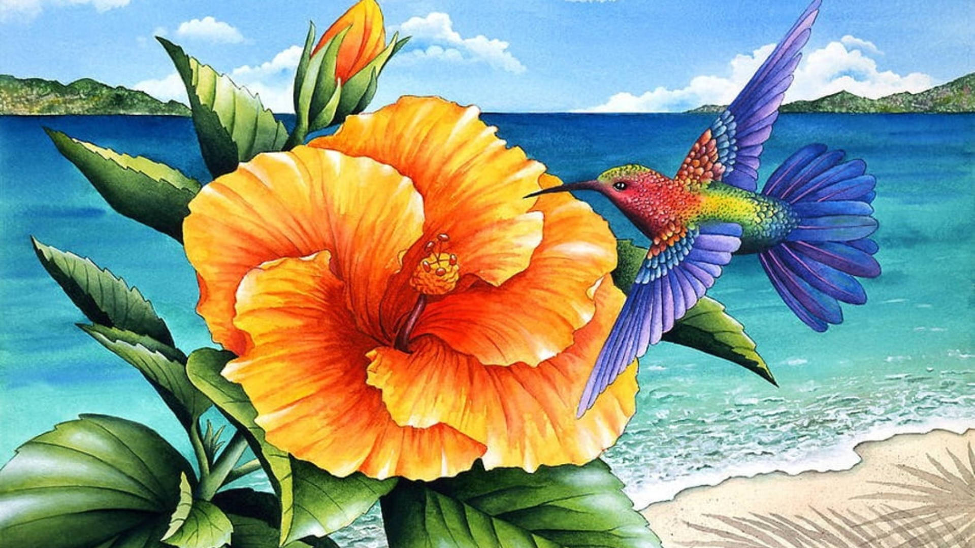 Hibiscus 桌布 壁紙 — 一朵鮮豔的橙色木芙蓉花在碧綠的海灘附近盛開，一隻色彩繽紛的蜂鳥在附近盤旋。