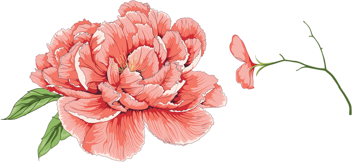 Peony 桌布 壁紙 — 一朵鮮豔的珊瑚色牡丹，層層花瓣和綠葉在純黑背景中綻放，細長的莖上有一片飄落的花瓣。