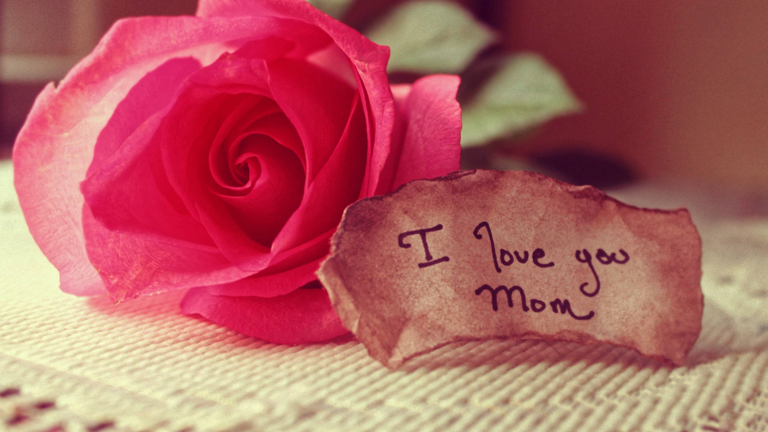 Happy Mothers Day 桌布 壁紙 — 一朵鮮豔的粉紅玫瑰放在一張手寫的「我愛你媽媽」便條旁邊，表面有紋理。