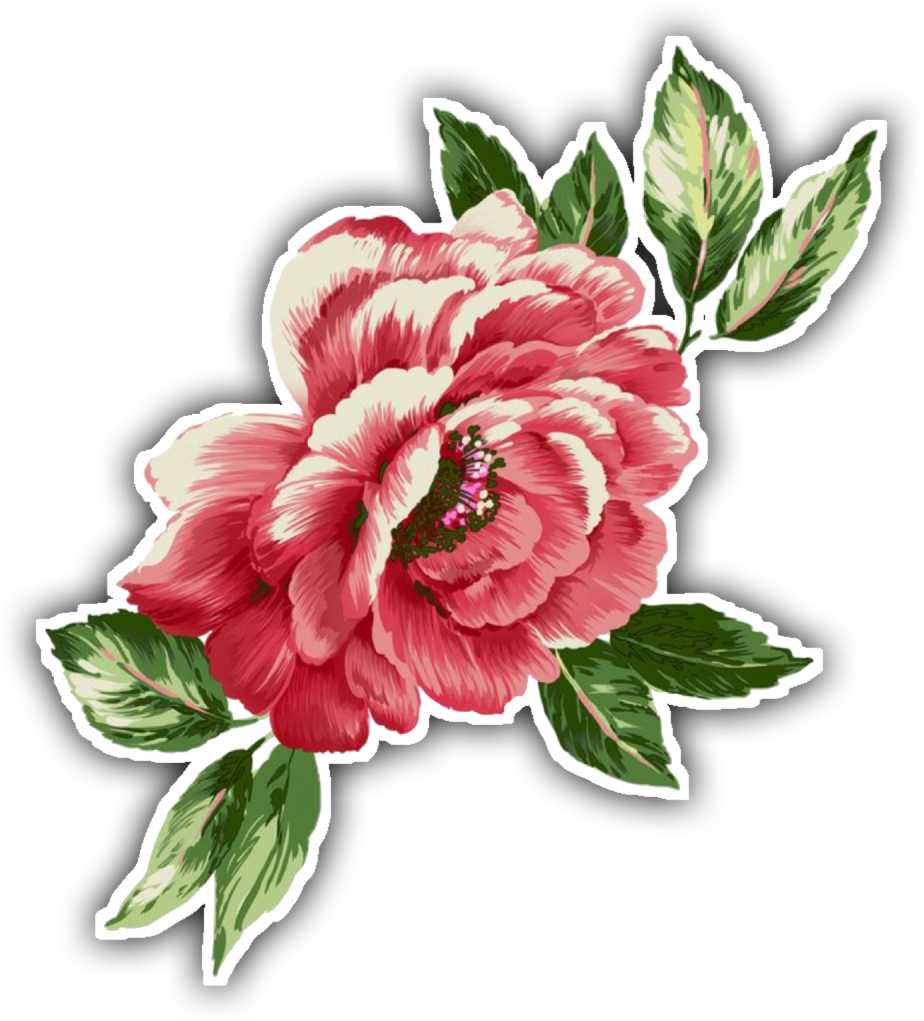 Peony 桌布 壁紙 — 一朵鮮豔的粉紅色牡丹，層層花瓣和綠葉在純黑色背景下格外突出。