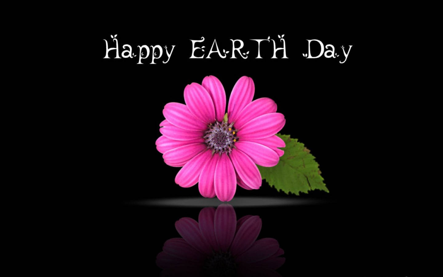 Earth Day 桌布 壁紙 — 一朵鮮豔的粉紅色花朵和一片綠葉放在反光表面上，背景為黑色，並帶有「Happy Earth Day」文字。