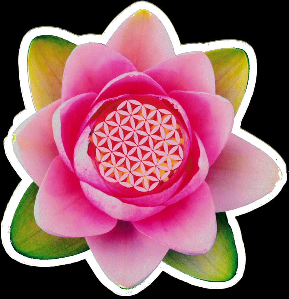 lotus 桌布 壁紙 — 一朵鮮豔的粉紅色蓮花，中心帶有神聖幾何圖案，被綠葉環繞，背景為黑色。