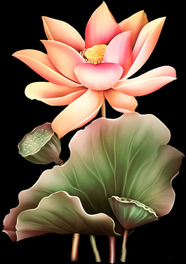 lotus 桌布 壁紙 — 一朵鮮豔的粉紅色蓮花在大片綠葉上方優雅綻放，背景為純黑色。