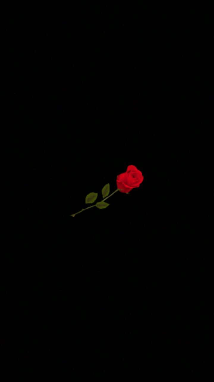 Black Rose Aesthetic 桌布 壁紙 — 一朵鮮豔的紅玫瑰，帶有綠色莖和葉子，獨自漂浮在純黑色的虛空中。