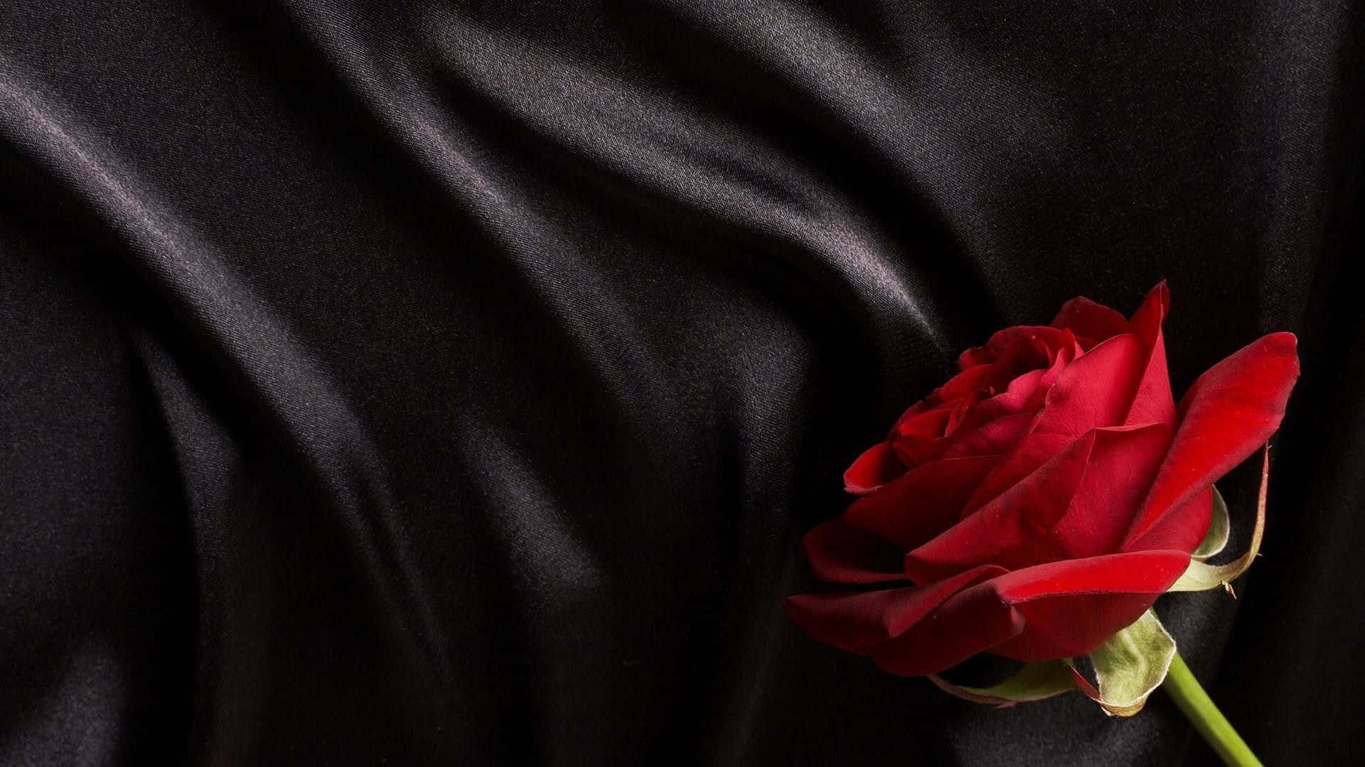 Black Rose Aesthetic 桌布 壁紙 — 一朵鮮豔的紅玫瑰優雅地躺在豪華的黑色緞面背景上，帶有柔軟的褶皺和閃亮的高光。