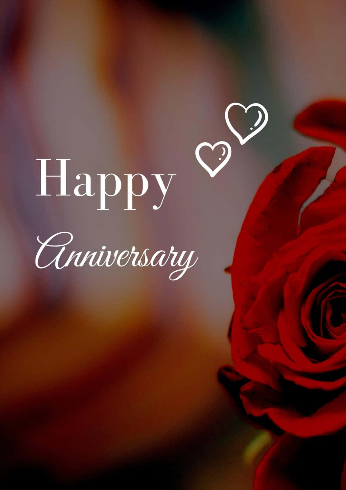 Red Rose 桌布 壁紙 — 一朵鮮豔的紅玫瑰在優雅的白色文字「Happy Anniversary」和兩個心形圖標旁邊綻放，背景是柔和模糊的暖色調。
