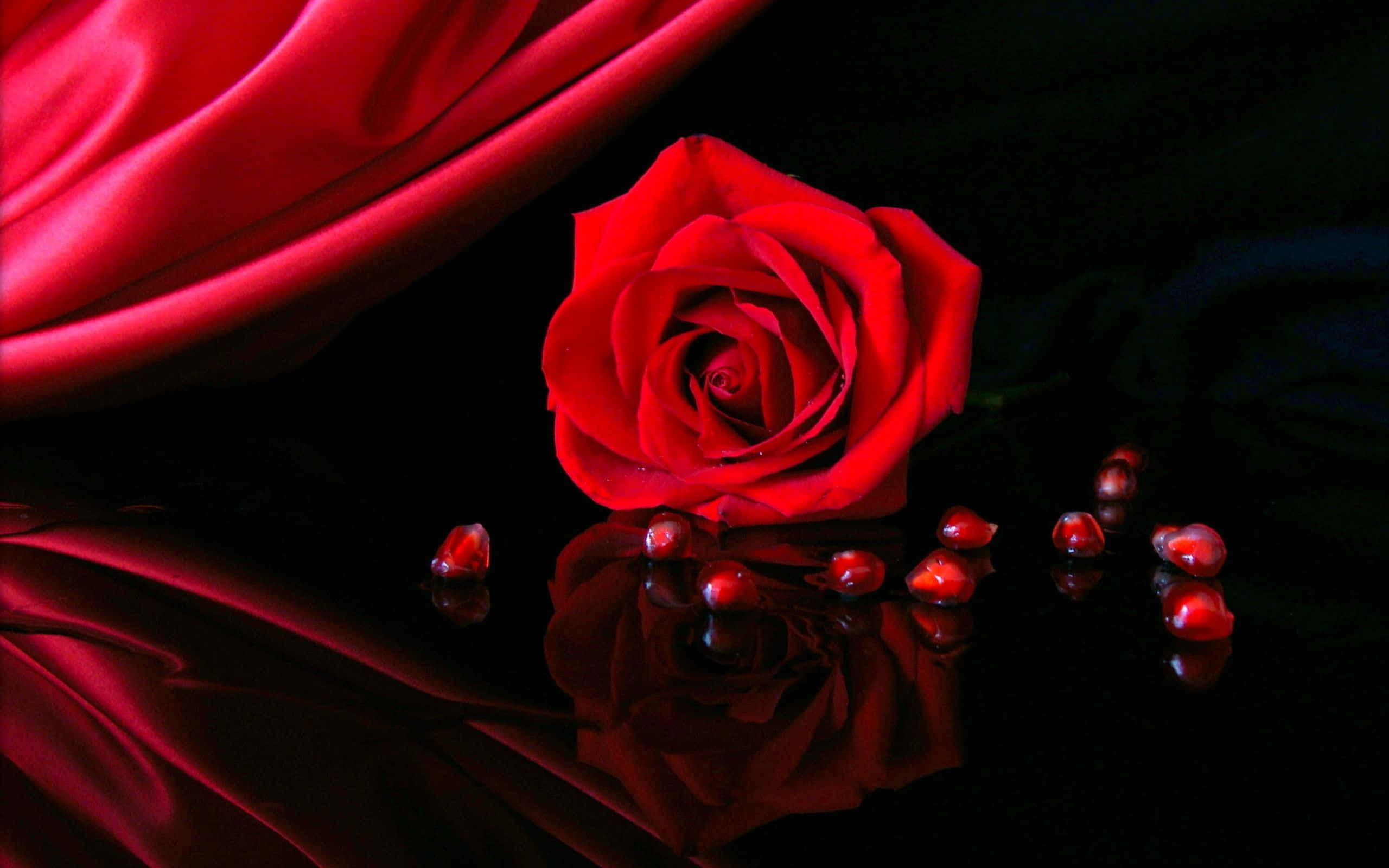 Red Rose Aesthetic 桌布 壁紙 — 一朵鮮豔的紅玫瑰放在光滑的黑色表面上，旁邊有紅色絲綢布料和散落的石榴籽，以及它們的倒影。