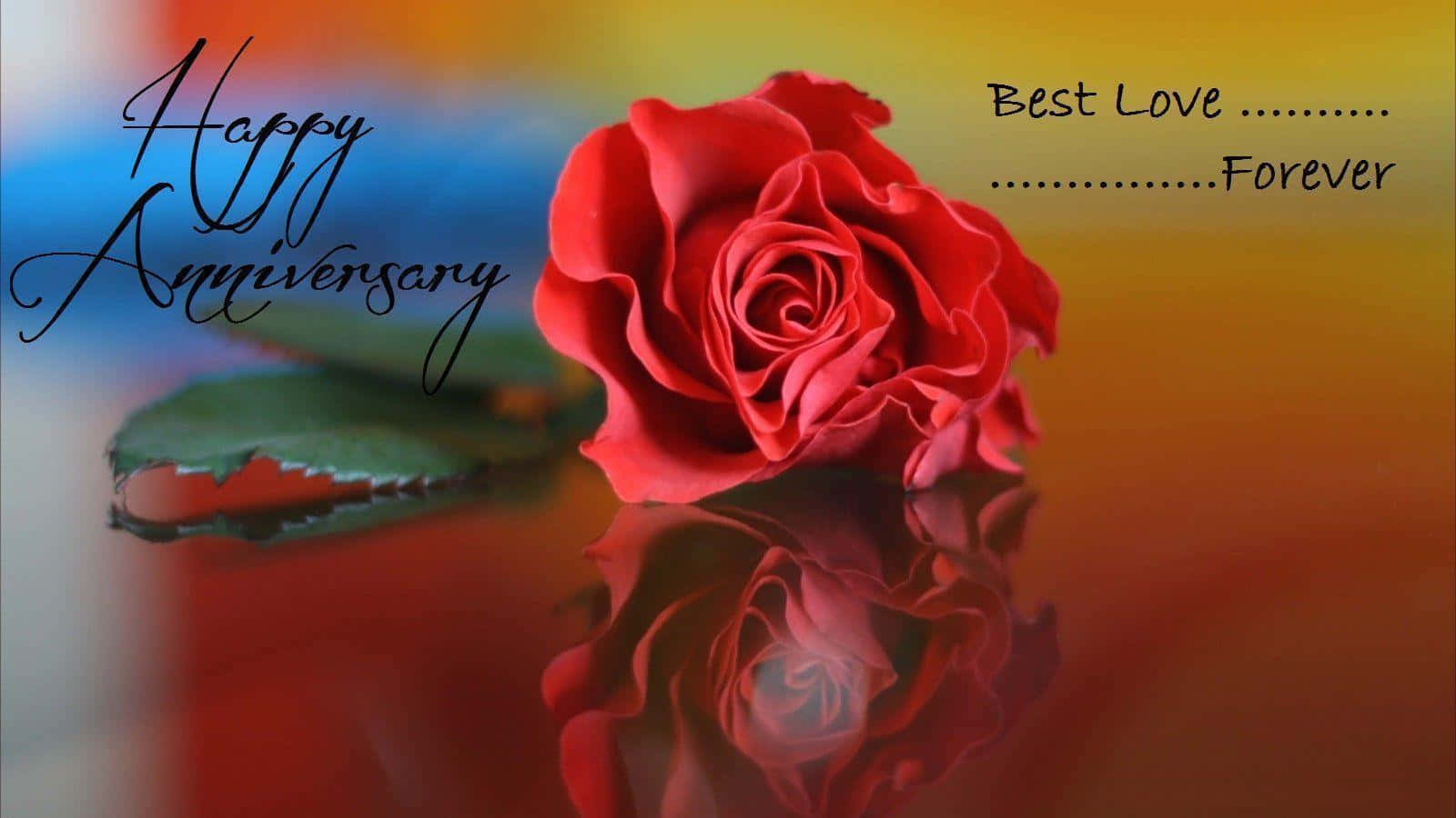 Happy Anniversary 桌布 壁紙 — 一朵鮮豔的紅玫瑰配上一片綠葉，放在反光表面上，背景是色彩繽紛的漸變色，並帶有週年紀念文字。