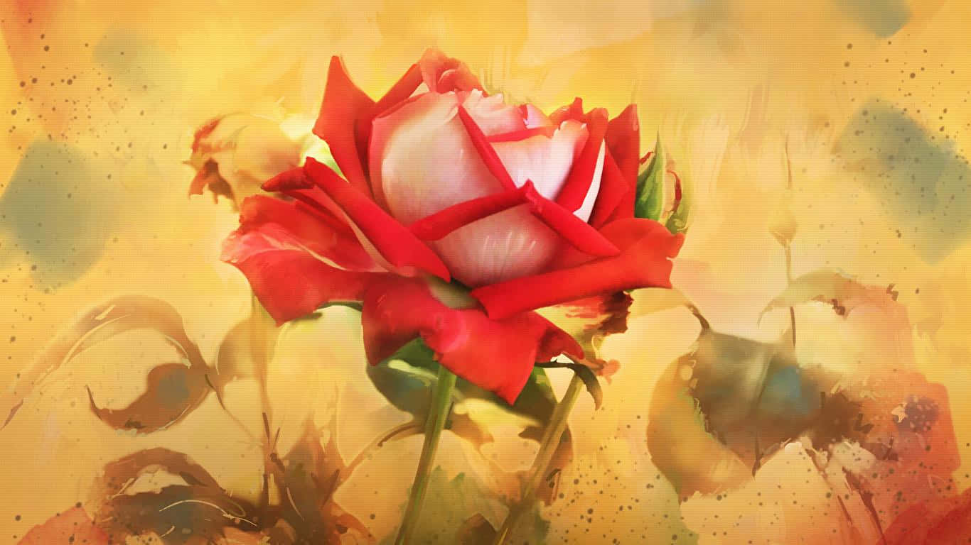 Rose Art 桌布 壁紙 — 一朵鮮豔的紅白玫瑰在溫暖的金色水彩背景上綻放，帶有柔和的水花和模糊的葉子。