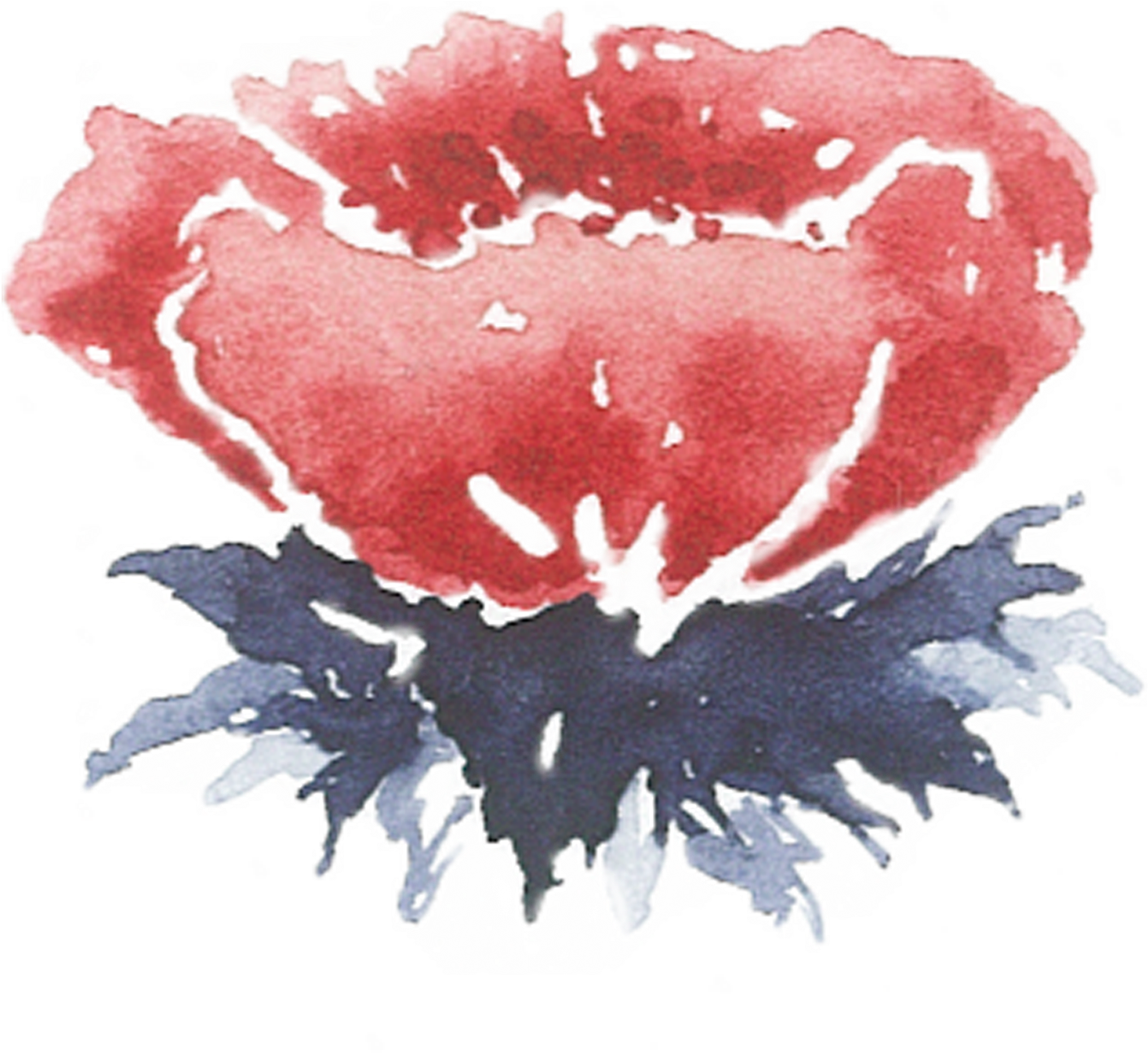 Peony 桌布 壁紙 — 一朵鮮豔的紅色水彩罌粟花，帶有深藍色葉子，襯托在純黑背景上。