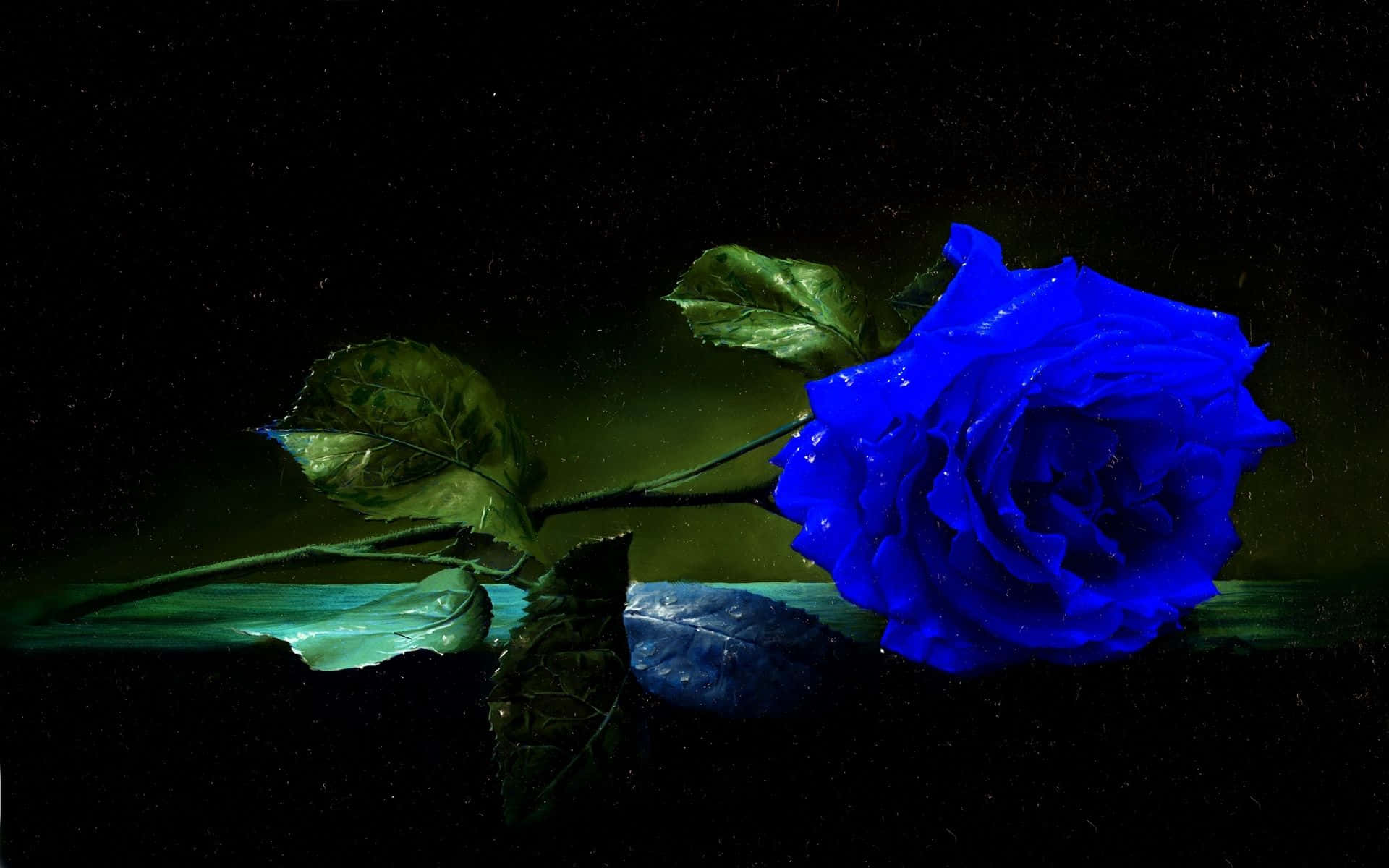 Blue Rose 桌布 壁紙 — 一朵鮮豔的藍玫瑰帶有露珠，放在黑色背景帶有微妙綠色光芒的暗色表面上。