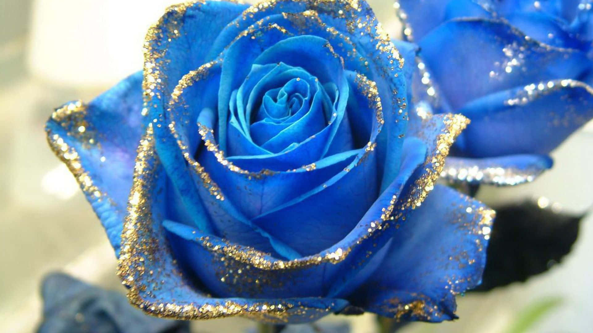 Rose Flower 桌布 壁紙 — 一朵鮮豔藍色玫瑰的特寫，花瓣上帶有金色亮粉點綴，背景柔和模糊。
