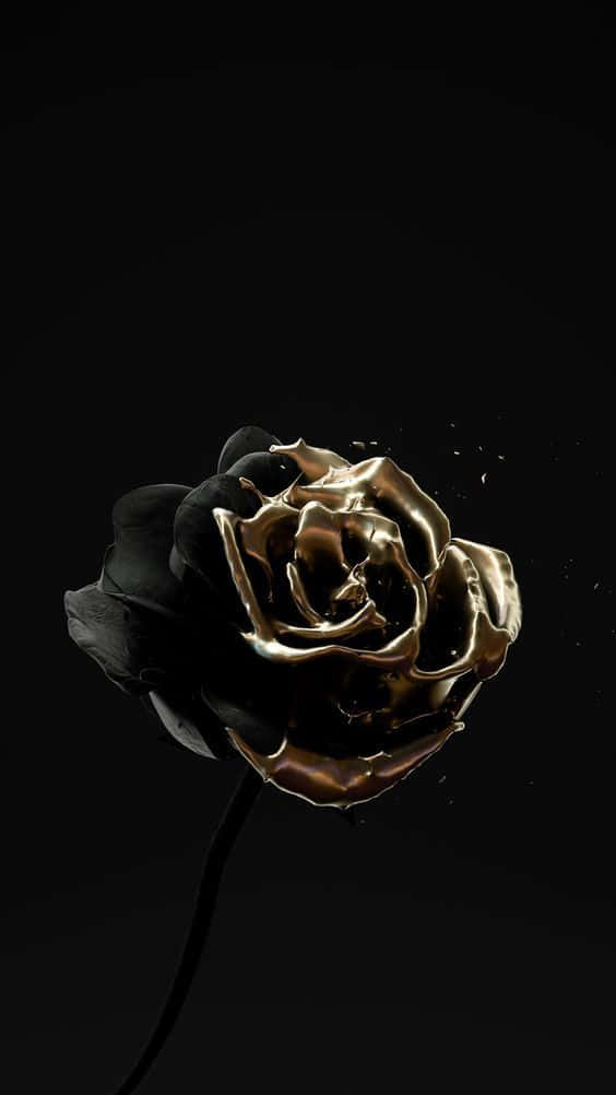 Black And Gold Aesthetic 桌布 壁紙 — 一朵黑玫瑰，帶有熔化的金色花瓣，在純黑色背景上滴落。