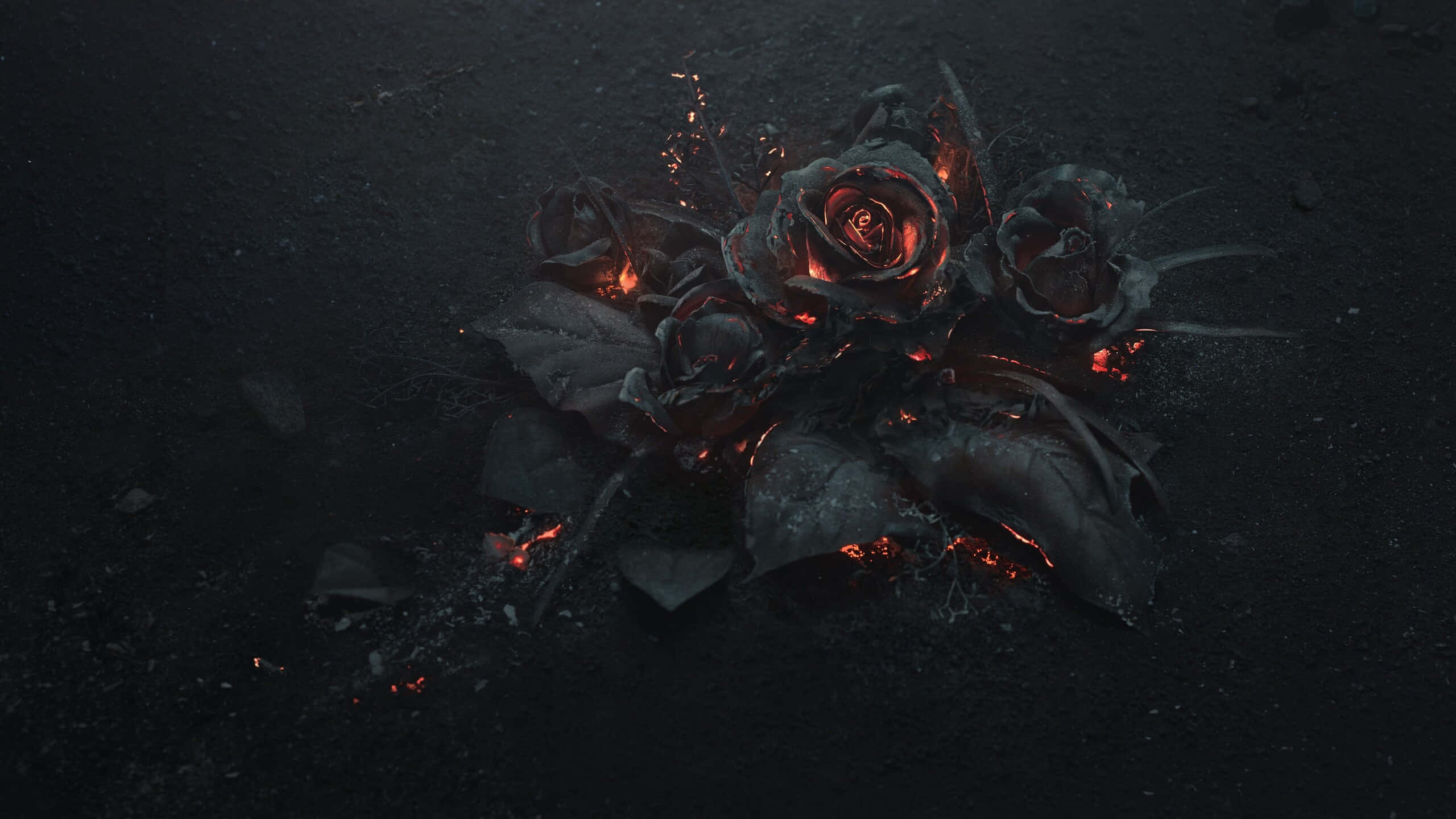 Roses 桌布 壁紙 — 一束令人不安的黑玫瑰，花瓣內有發光的紅色餘燼，躺在深灰色的灰燼地面上。