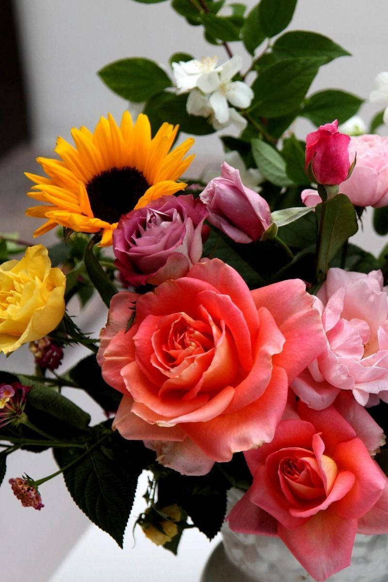 Pink Roses 桌布 壁紙 — 一束充滿活力的向日葵、玫瑰和茉莉花，呈現柔和的粉紅色、黃色和白色，搭配茂盛的綠葉。