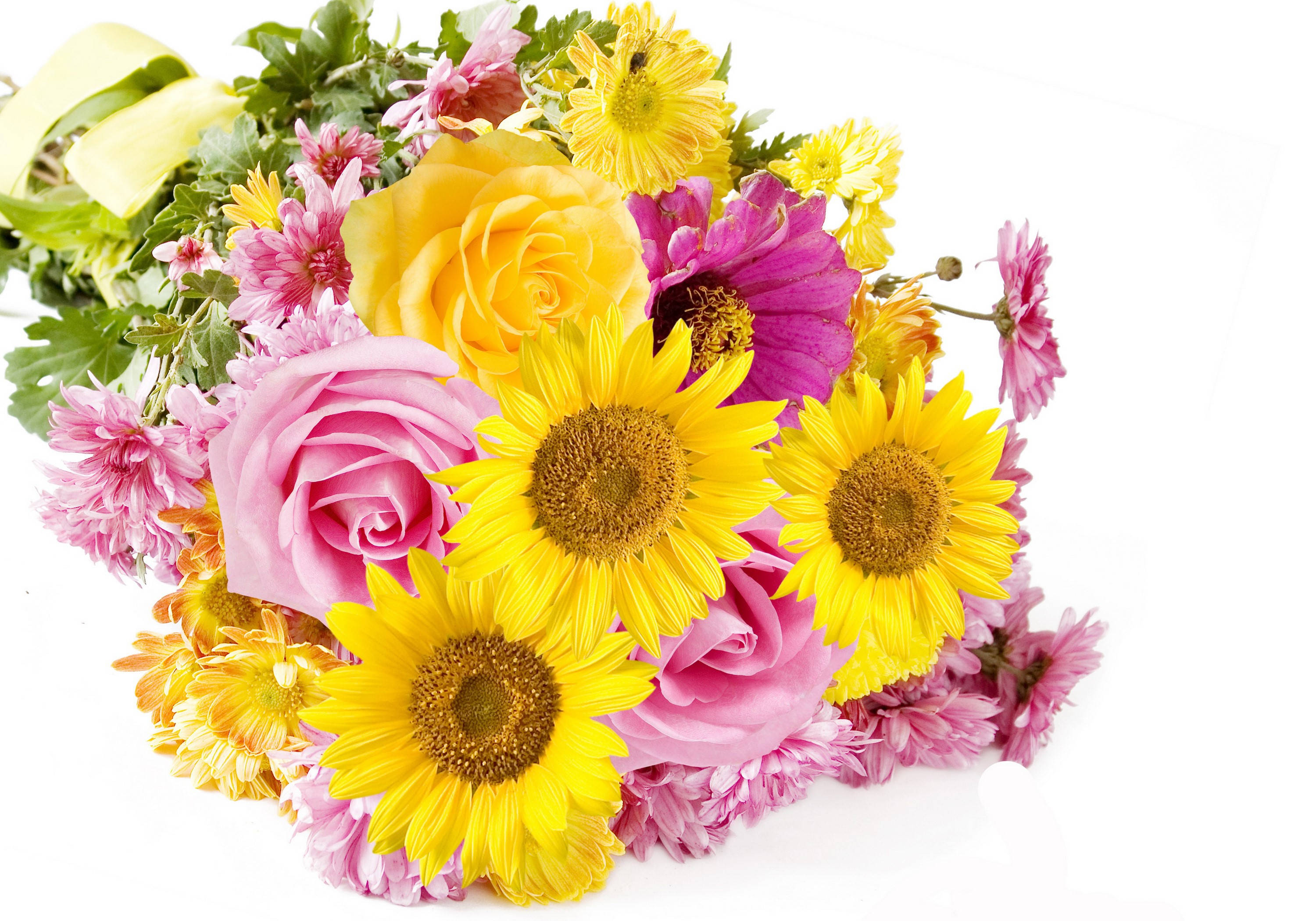 Roses 桌布 壁紙 — 一束充滿活力的向日葵、玫瑰和菊花，粉紅色、黃色和紫色的花朵，襯托在潔白的背景上。