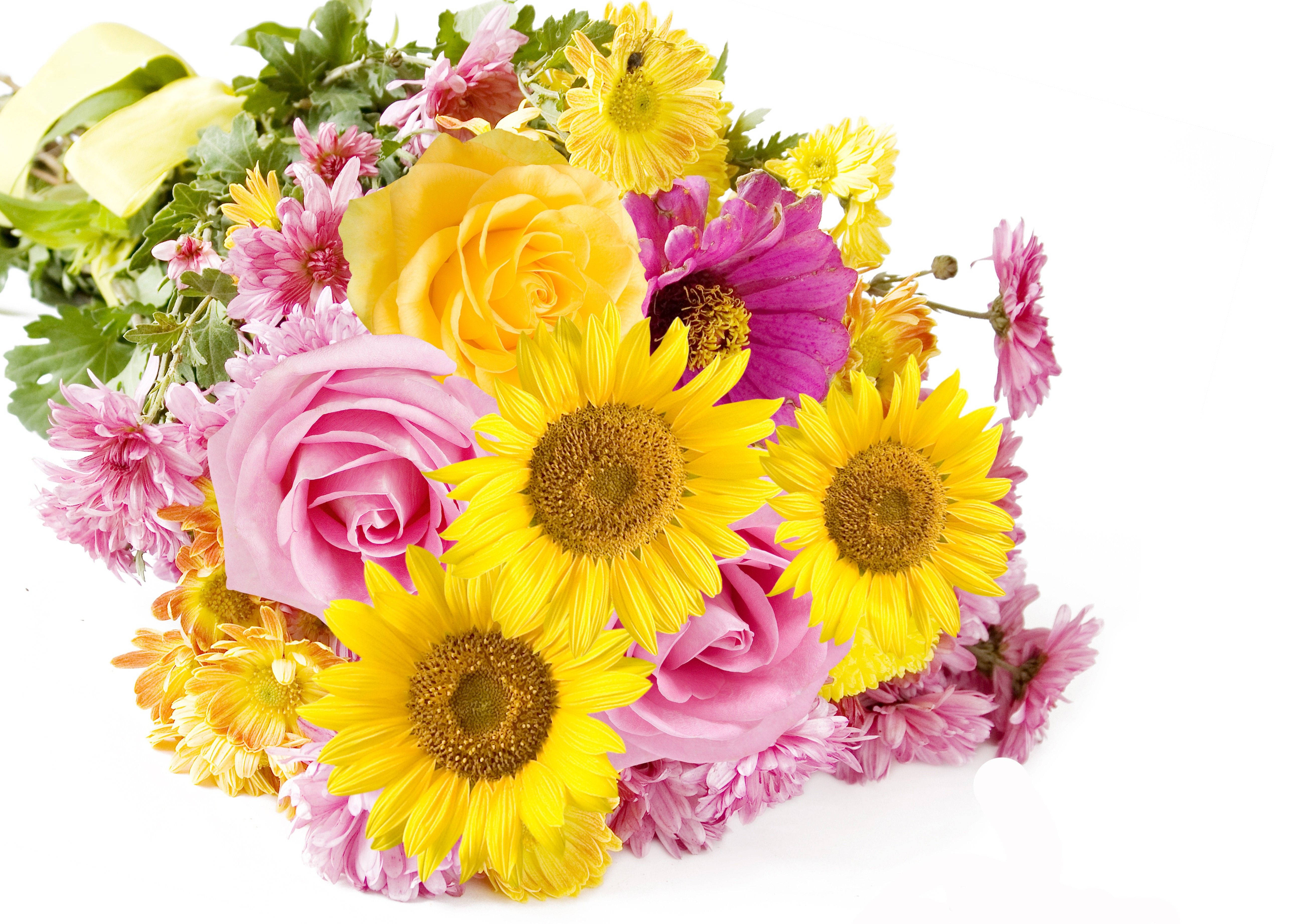 Bouquet 桌布 壁紙 — 一束充滿活力的向日葵、玫瑰和雛菊，粉紅色、黃色和紫色的花朵，襯托在潔白的背景上。