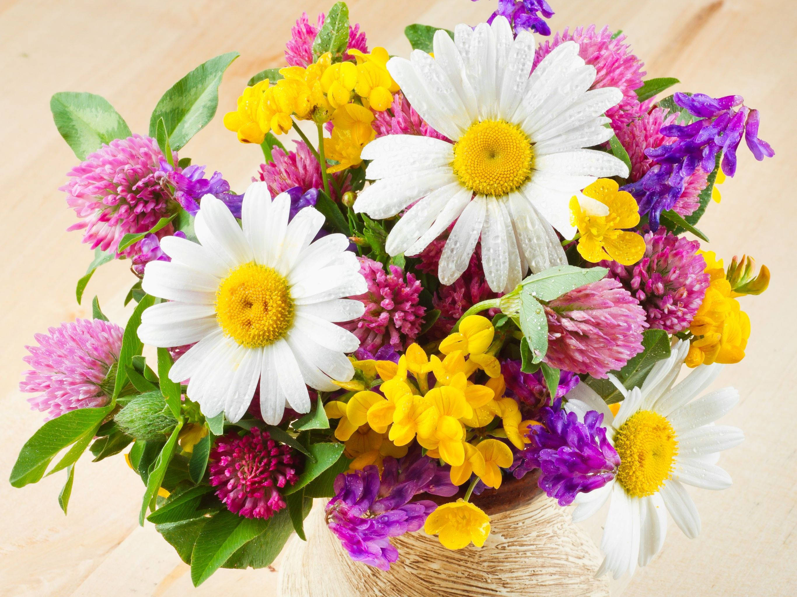 Flowers 桌布 壁紙 — 一束充滿活力的白色雛菊、黃色三葉草和紫色花朵，帶有露珠，放在木質表面上的編織籃子裡。