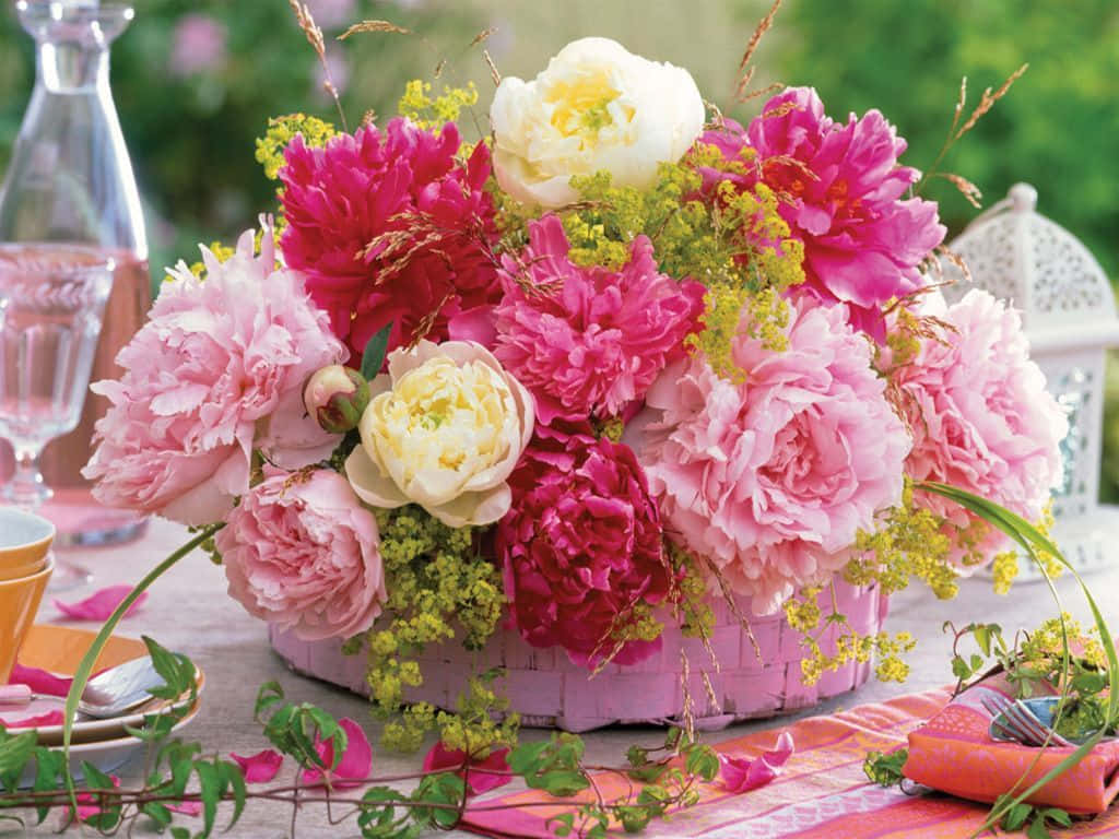 Flower Arrangement 桌布 壁紙 — 一束充滿活力的粉紅和白色牡丹花，搭配黃色填充花，從一個粉紅色編織籃子中溢出，放在陽光普照的戶外桌子上。
