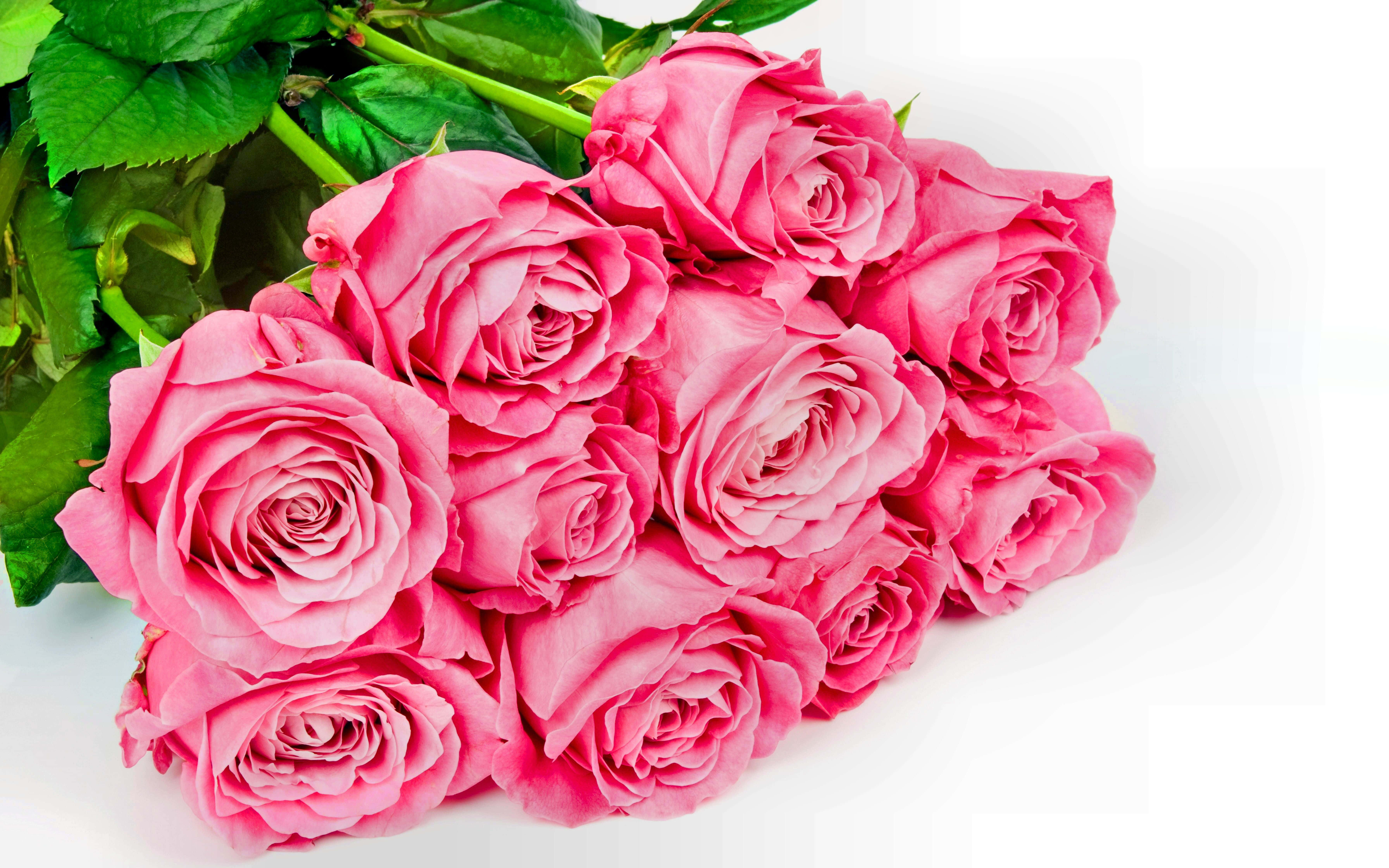 Rose Flower 桌布 壁紙 — 一束充滿活力的粉紅玫瑰配綠葉，放在潔白的表面上。