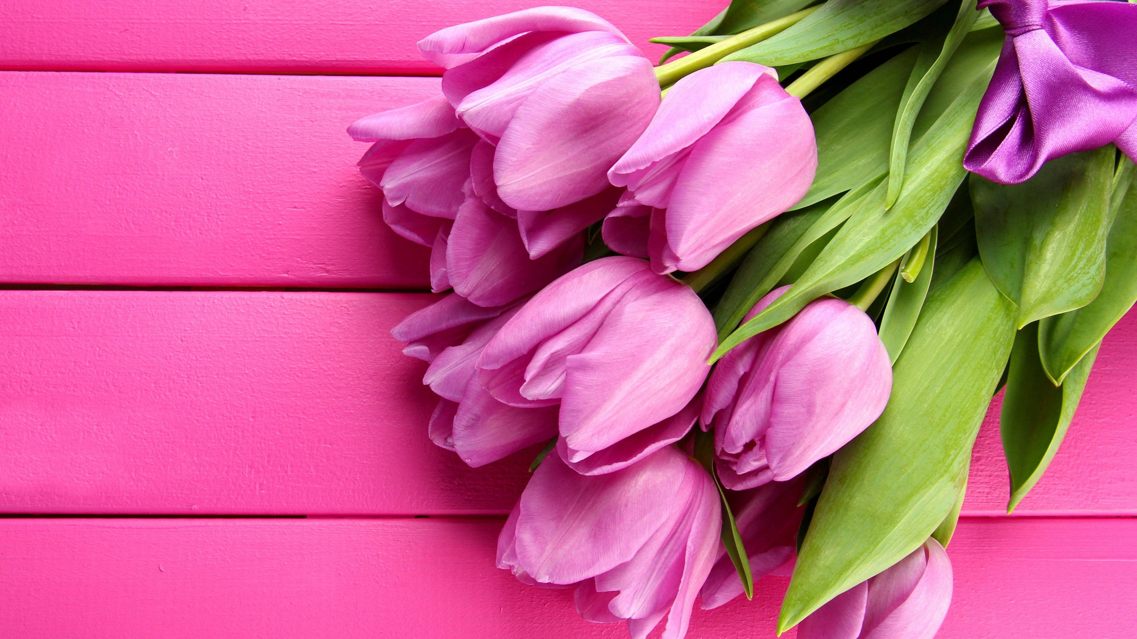 Pink Flowers 桌布 壁紙 — 一束充滿活力的粉紅色鬱金香，配以綠葉，放在明亮的粉紅色木質表面上。