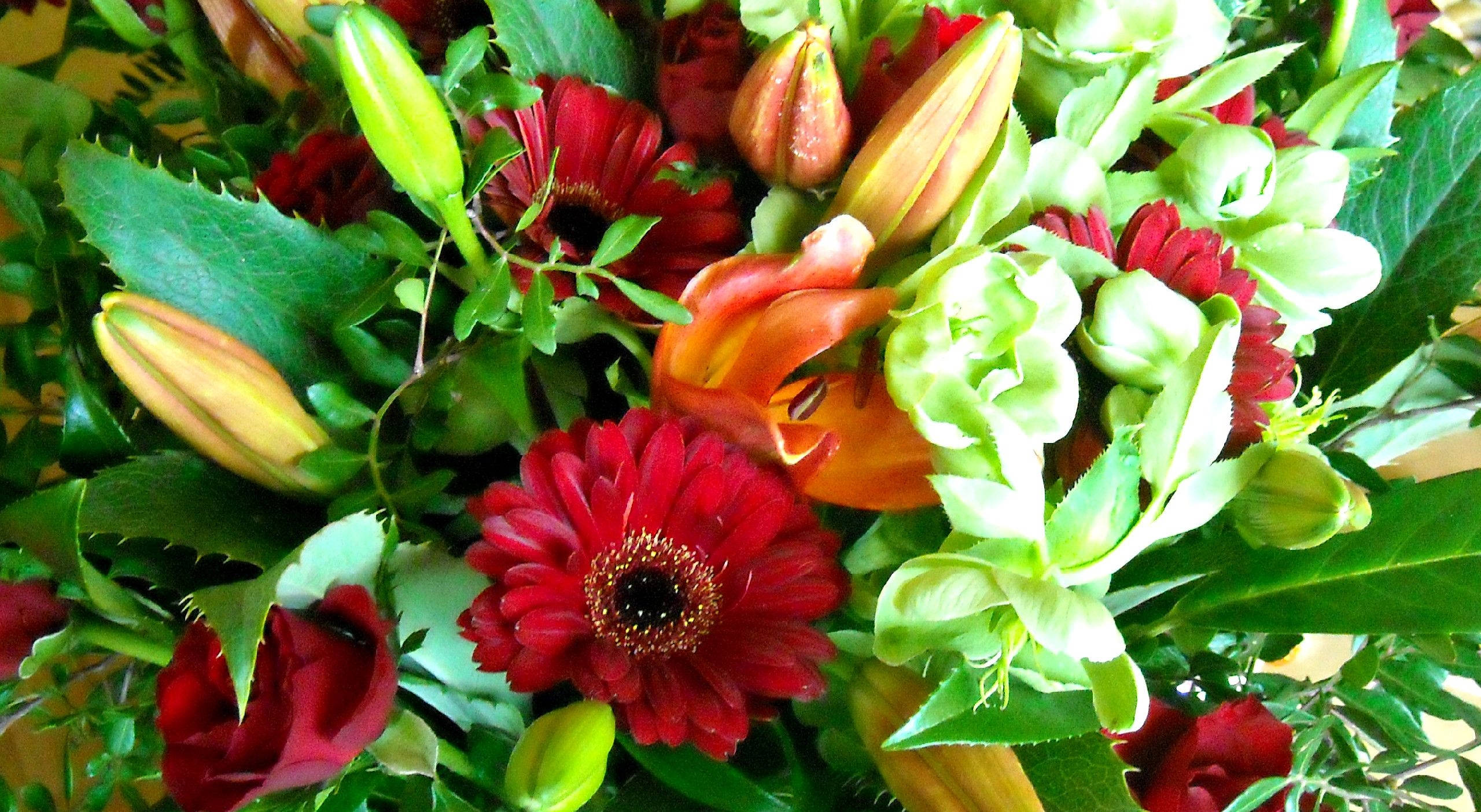 花 桌布 壁紙 — 一束充滿活力的紅色非洲菊雛菊、橙色百合和綠色葉子，色彩豐富自然。