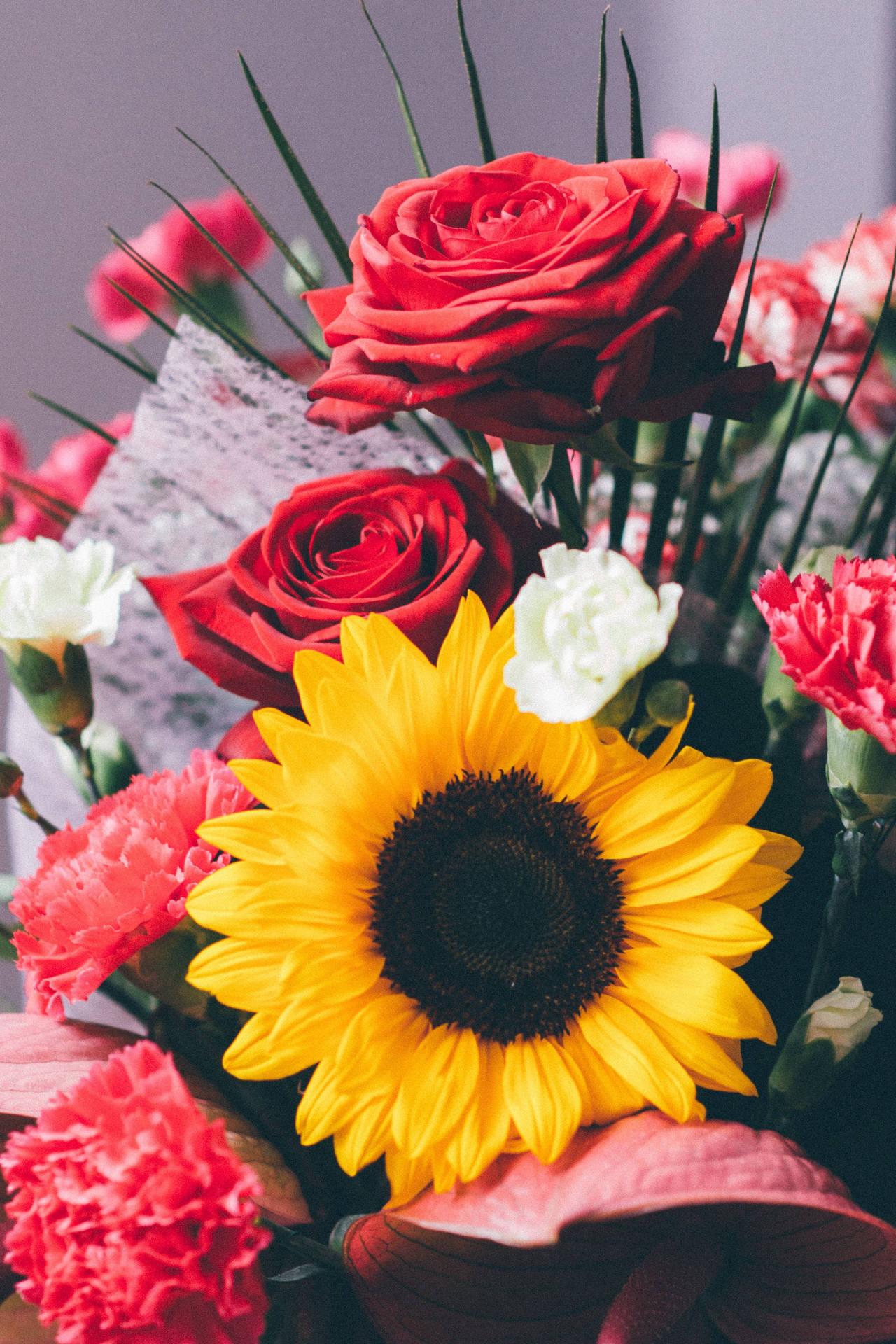 Roses 桌布 壁紙 — 一束充滿活力的花束，包含一朵大型黃色向日葵，周圍環繞著紅玫瑰和粉紅色康乃馨，配有綠色花莖。