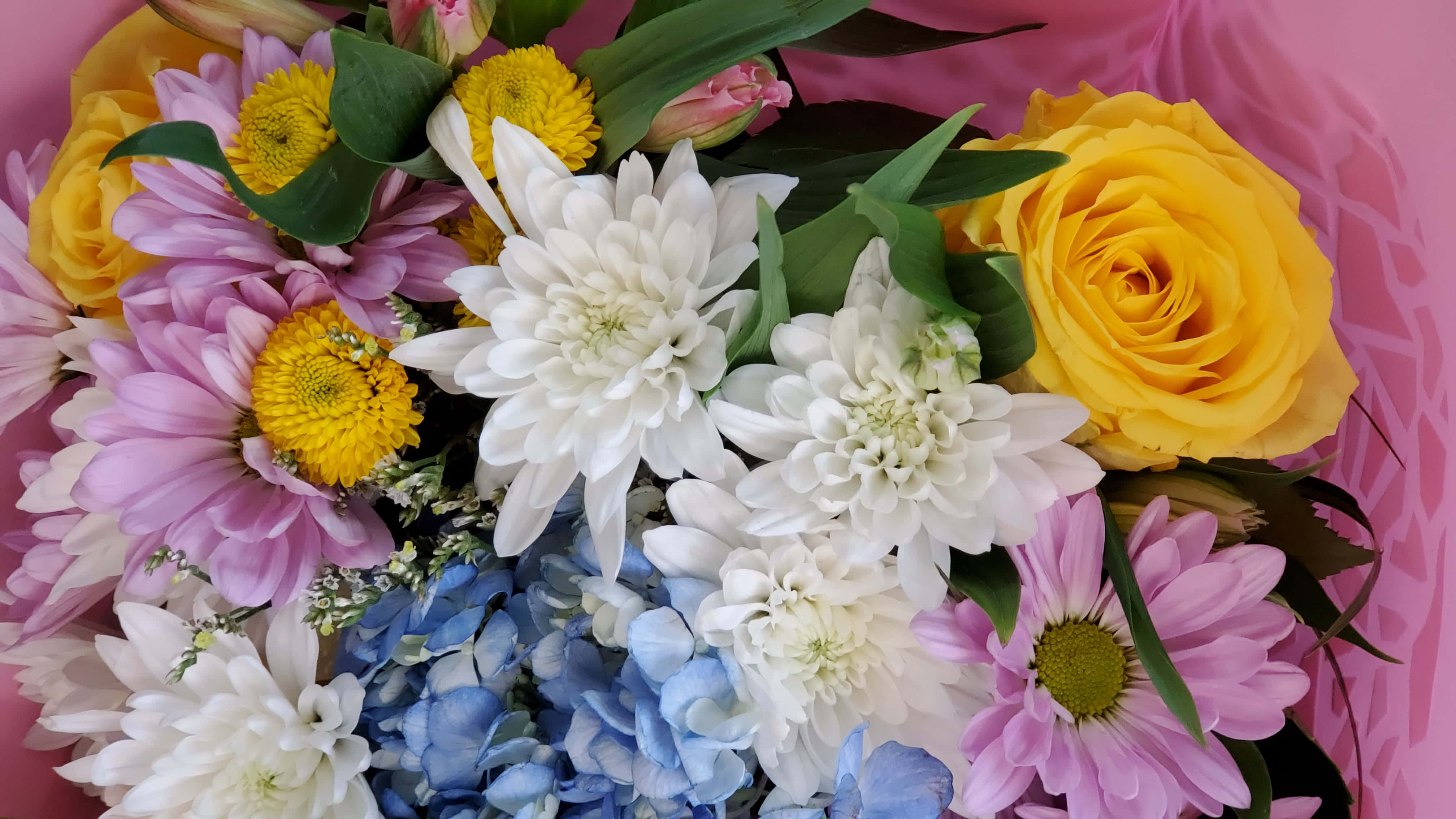 高清 桌布 壁紙 — 一束充滿活力的花束，包含黃玫瑰、粉紅雛菊、白菊花和藍繡球花，排列在柔和的粉紅色背景上。