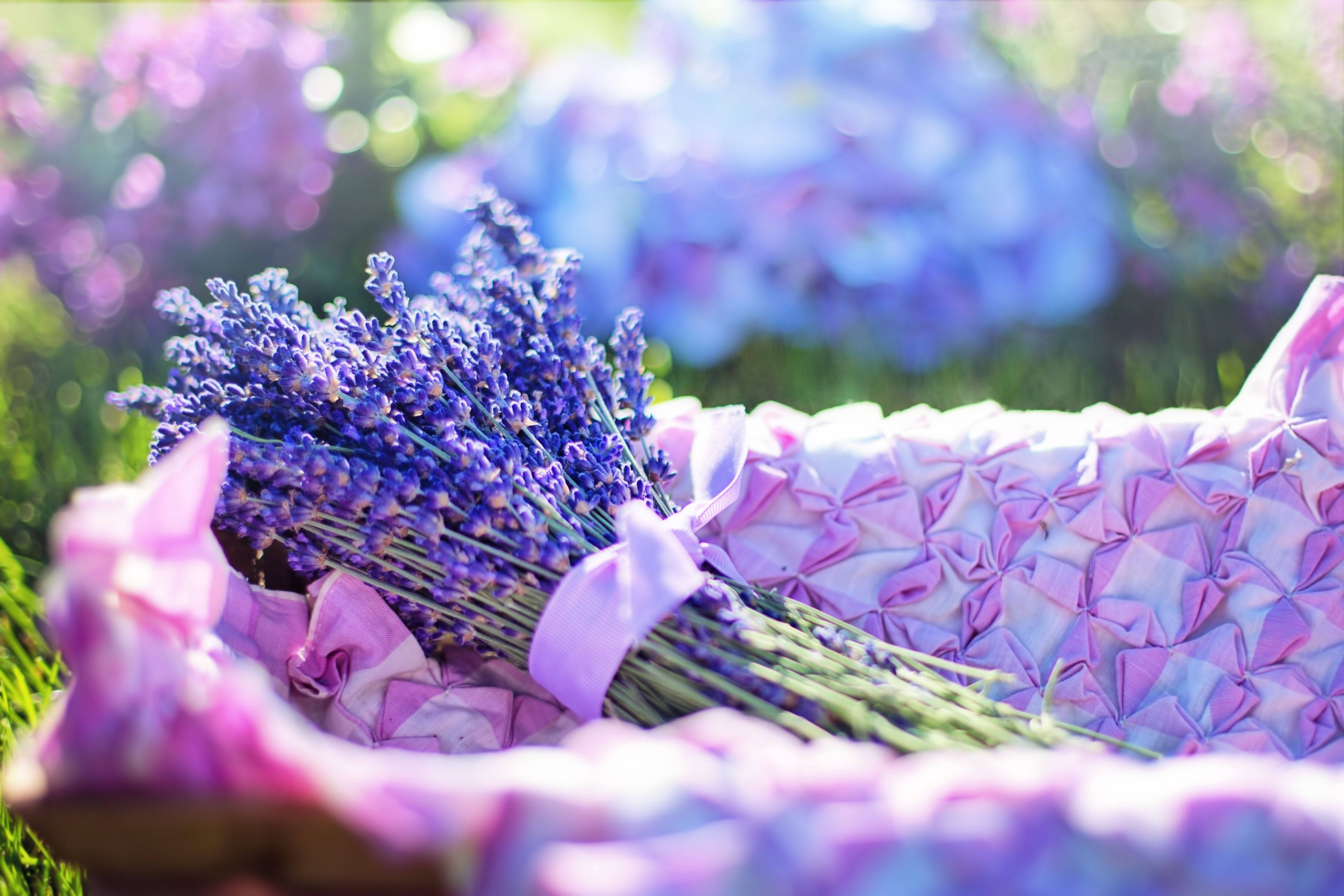 Lavender 桌布 壁紙 — 一束充滿活力的薰衣草花放在粉紅色摺紙籃子裡，背景是陽光普照的花園。