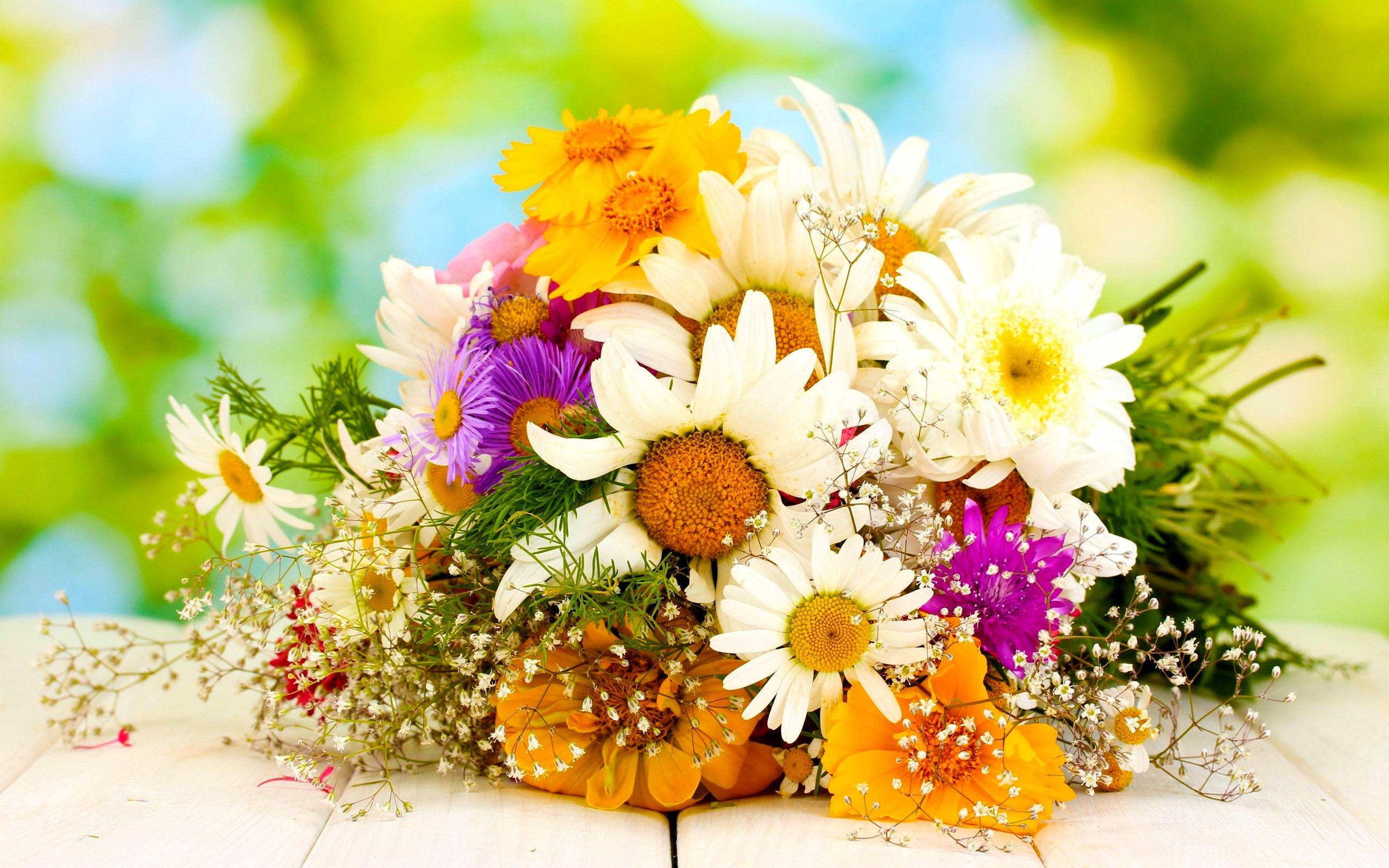 花 桌布 壁紙 — 一束充滿活力的雛菊、紫菀和滿天星放在白色木質表面上，背景是明亮的綠色散景。