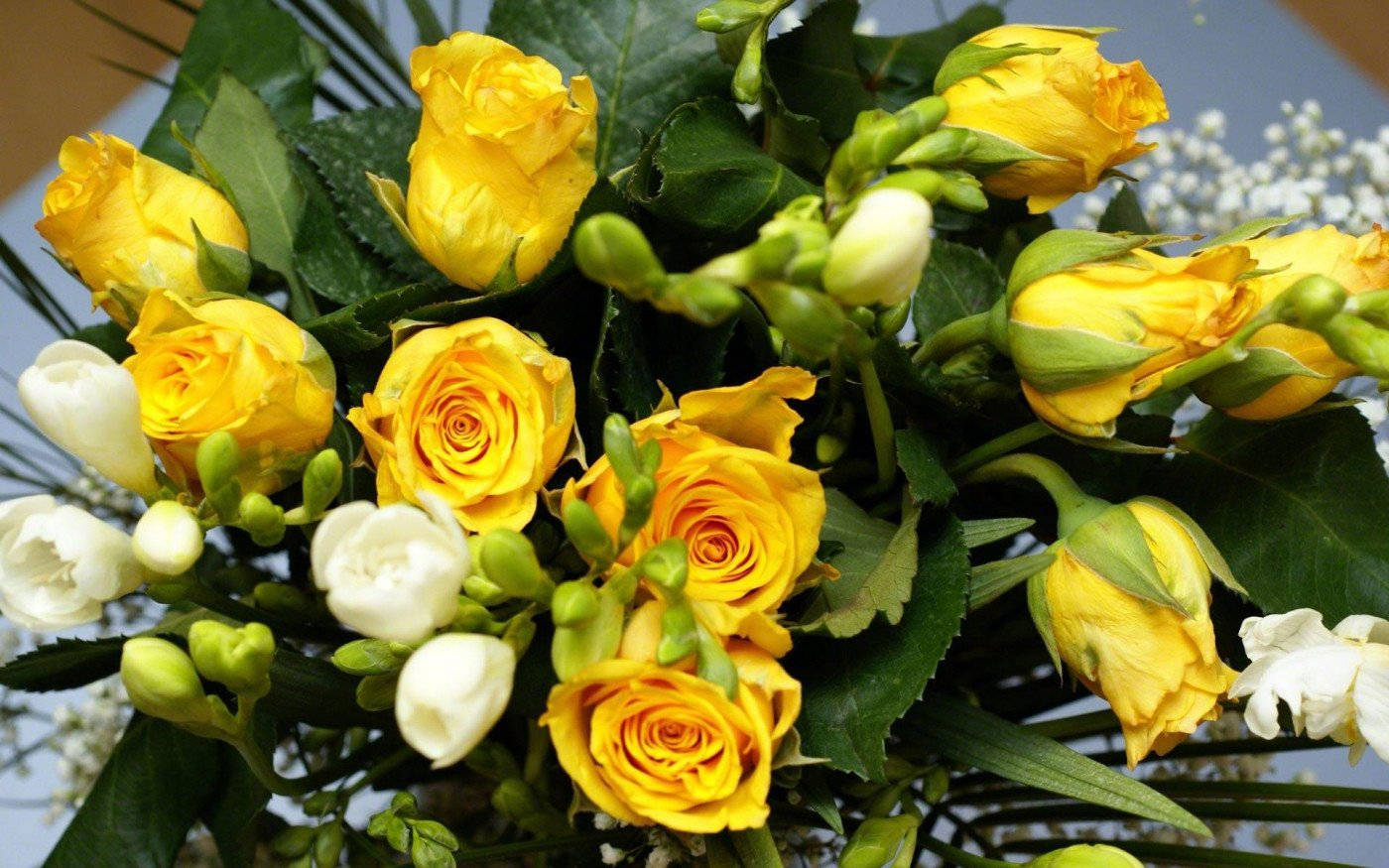 Roses 桌布 壁紙 — 一束充滿活力的黃玫瑰和白色小蒼蘭， nestled 在茂密的綠葉和精緻的滿天星中。