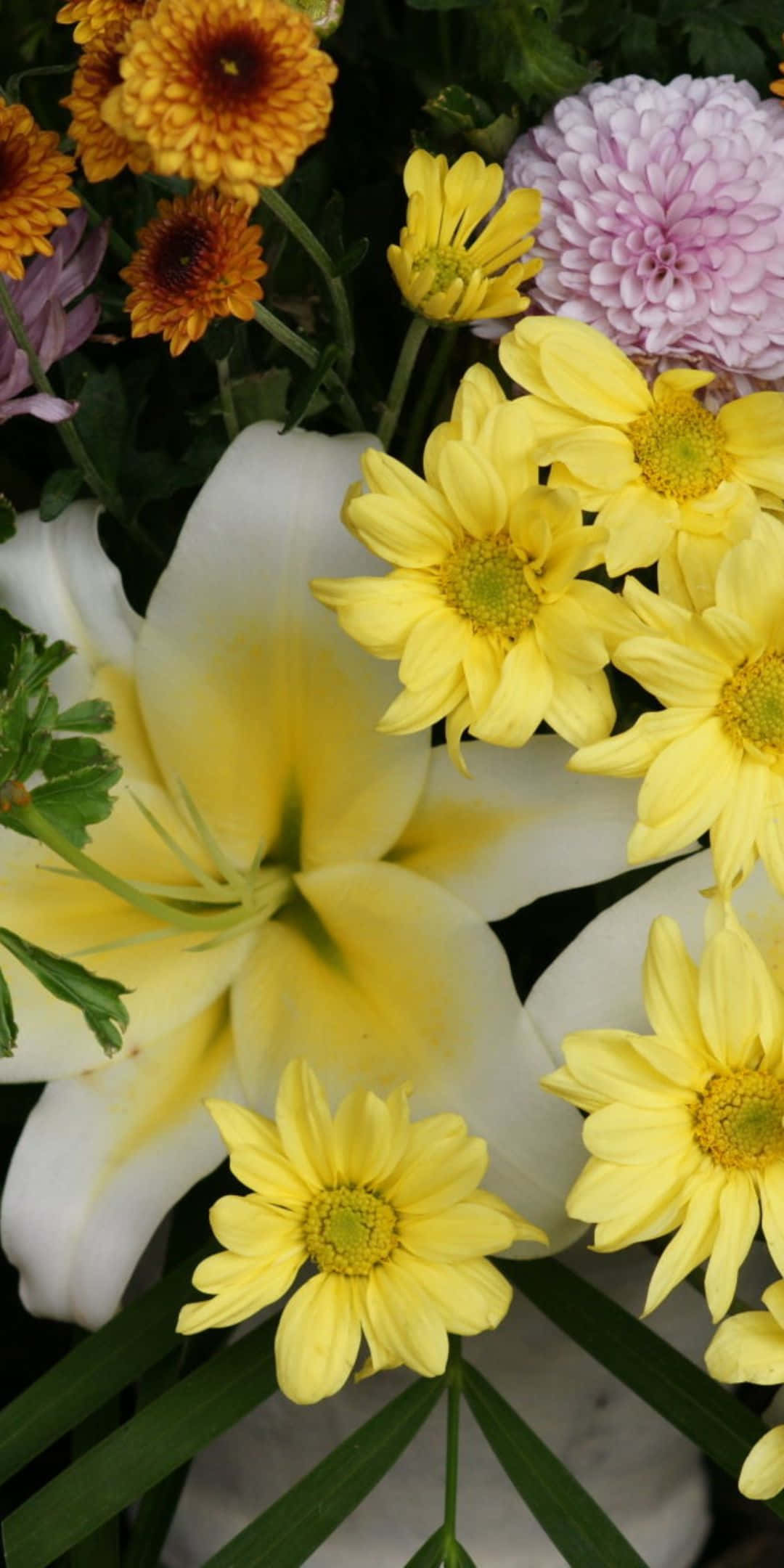 Flowers 桌布 壁紙 — 一束充滿活力的黃色雛菊、白色百合和粉色菊花，搭配茂盛的綠葉。