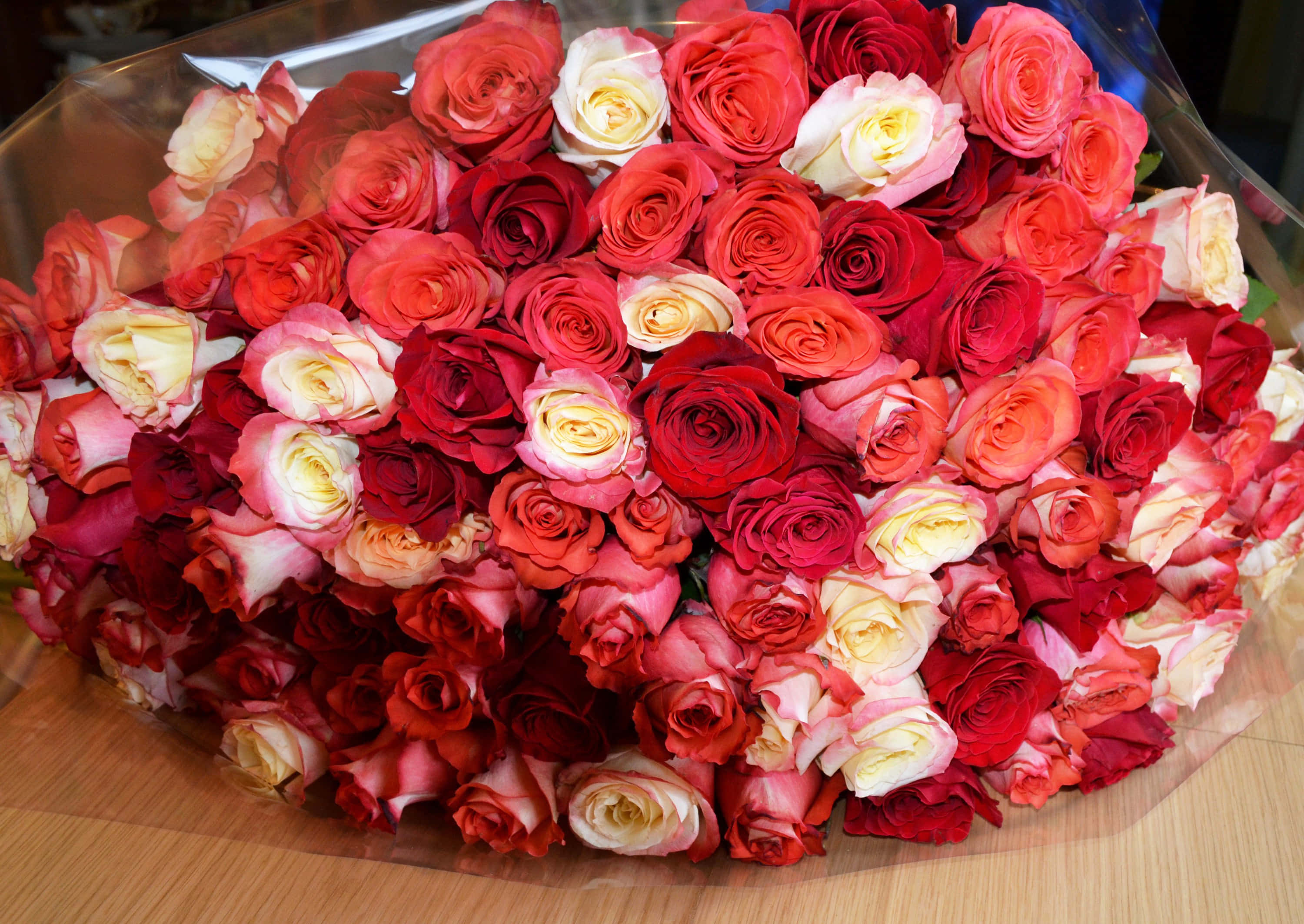 Bouquet 桌布 壁紙 — 一束奢華的紅玫瑰和奶油色玫瑰，用透明玻璃紙包裹，放在木質表面上。
