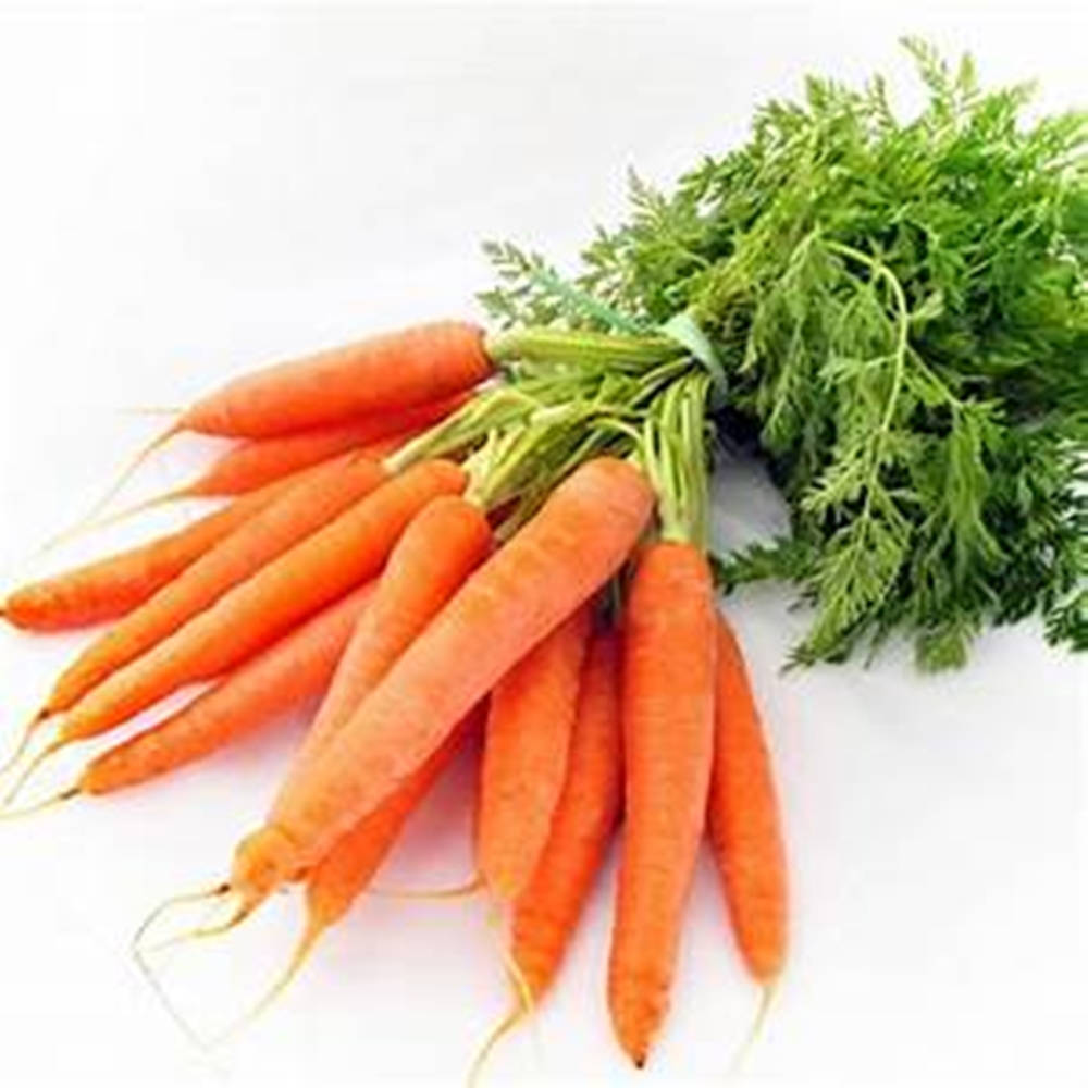 Healthy Food 桌布 壁紙 — 一束新鮮的亮橙色胡蘿蔔，帶有綠色葉狀頂部，襯以潔淨的白色背景。