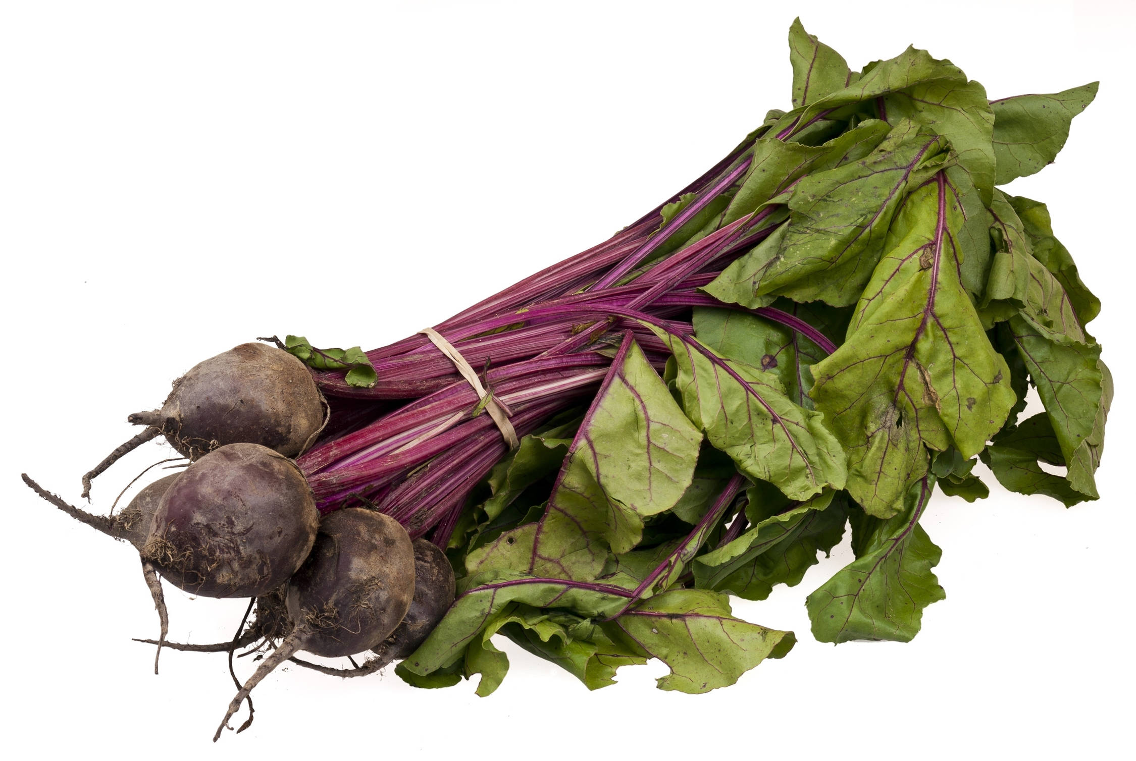 beetroot 桌布 壁紙 — 一束新鮮的甜菜，帶有深紫色的莖和綠葉，用帶子綁在白色背景上。