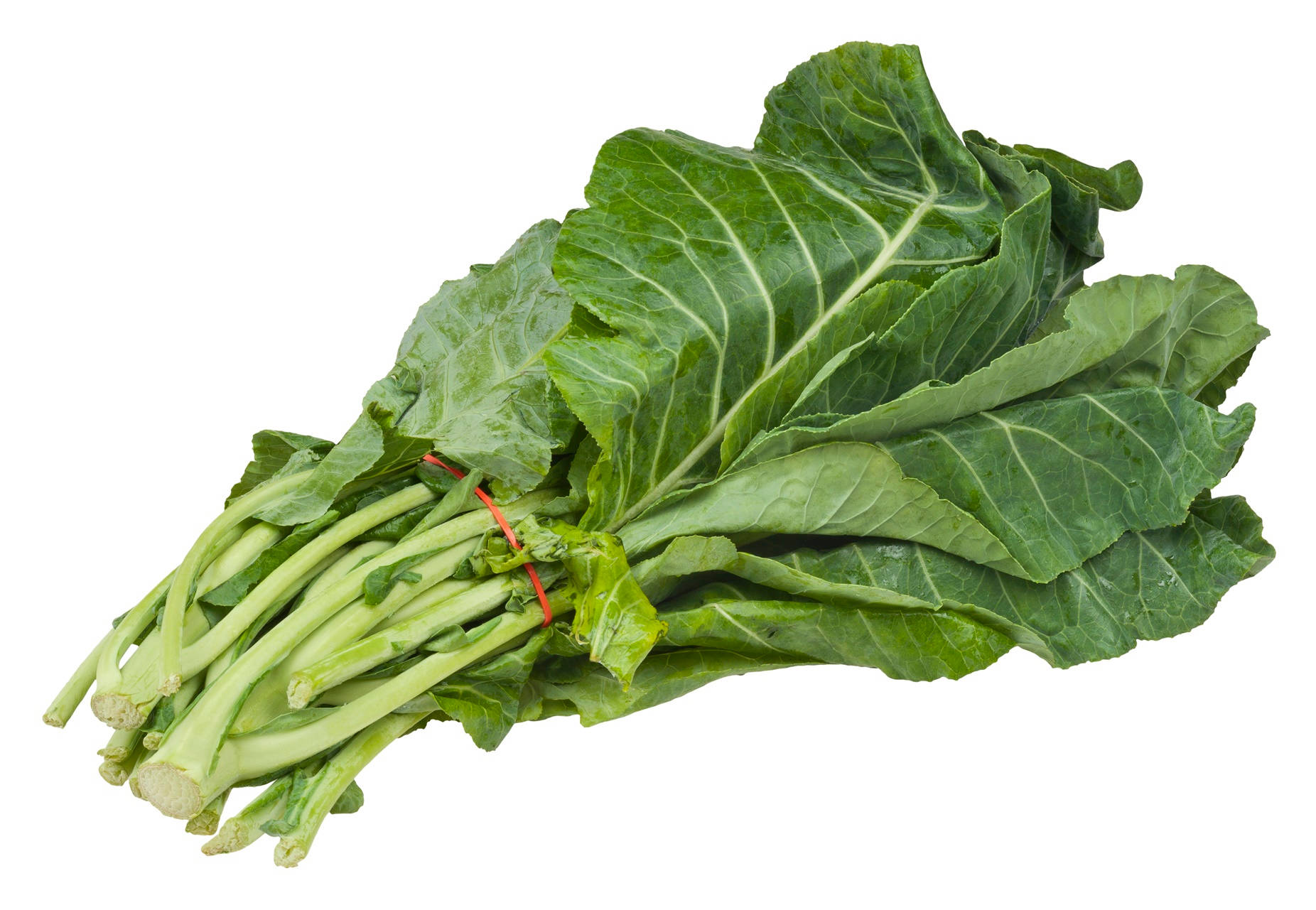 Collard Greens 桌布 壁紙 — 一束新鮮的綠色葉菜，用紅色帶子綁著，放在純白色背景上。