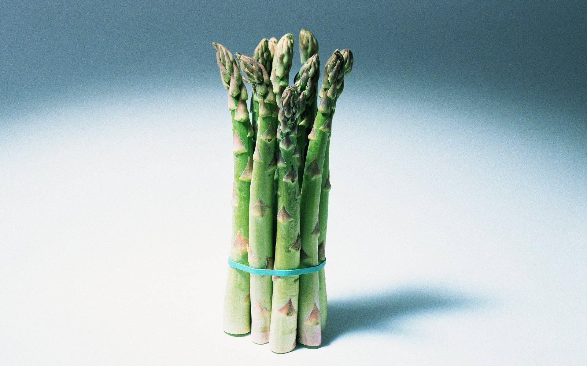 Health 桌布 壁紙 — 一束新鮮的綠蘆筍用藍色帶子綁著，直立於柔和的漸變背景前。