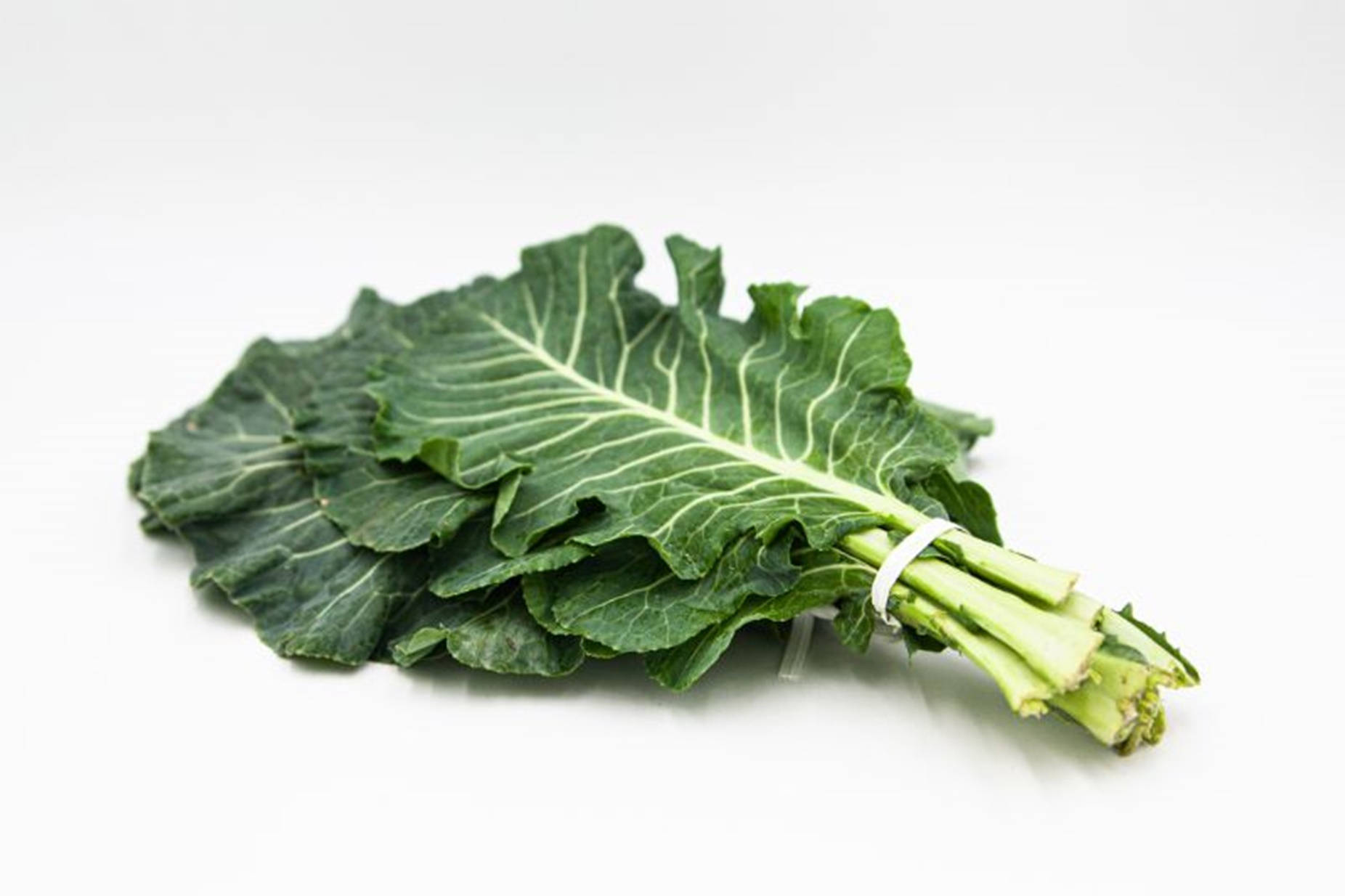 Collard Greens 桌布 壁紙 — 一束新鮮的羽衣甘藍，帶有鮮綠色葉片和淺色莖部，用白色帶子綁著，放在潔淨的白色背景上。