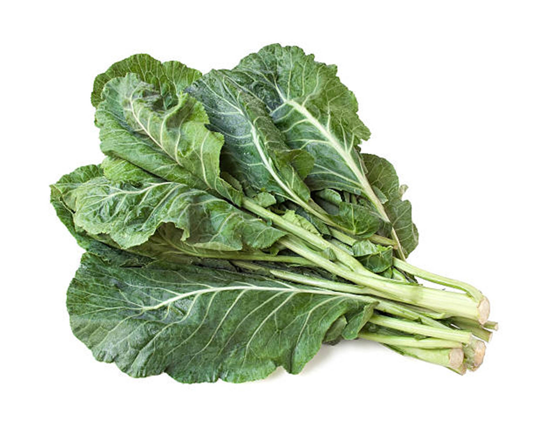 Collard Greens 桌布 壁紙 — 一束新鮮的翠綠葉菜，莖部爽脆，葉脈清晰，襯以純白背景。