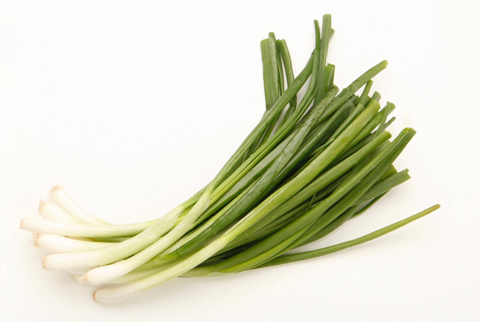 Healthy Food 桌布 壁紙 — 一束新鮮的青蔥，帶有爽脆的白色蔥頭和鮮綠色的蔥葉，襯托在潔淨的白色背景上。