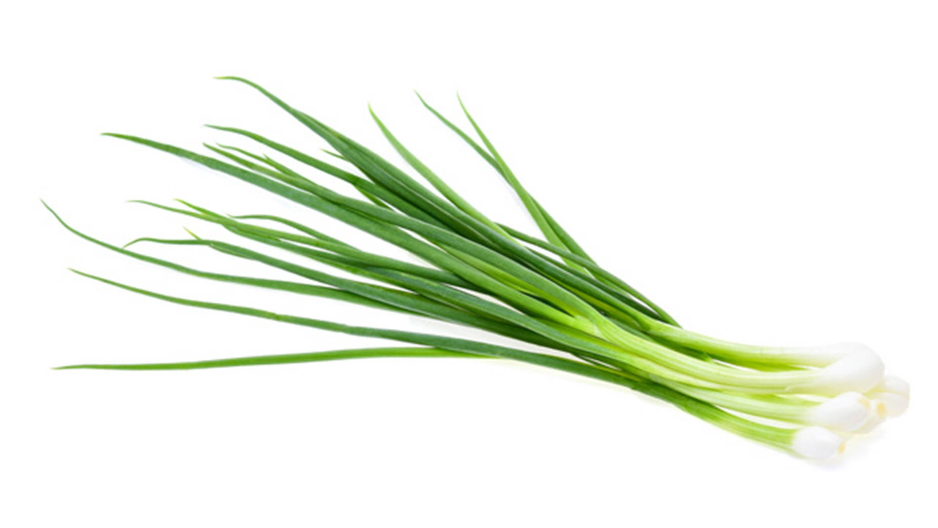 Healthy Food 桌布 壁紙 — 一束新鮮的青蔥，帶有白色鱗莖和鮮綠色莖部，置於潔白背景上。