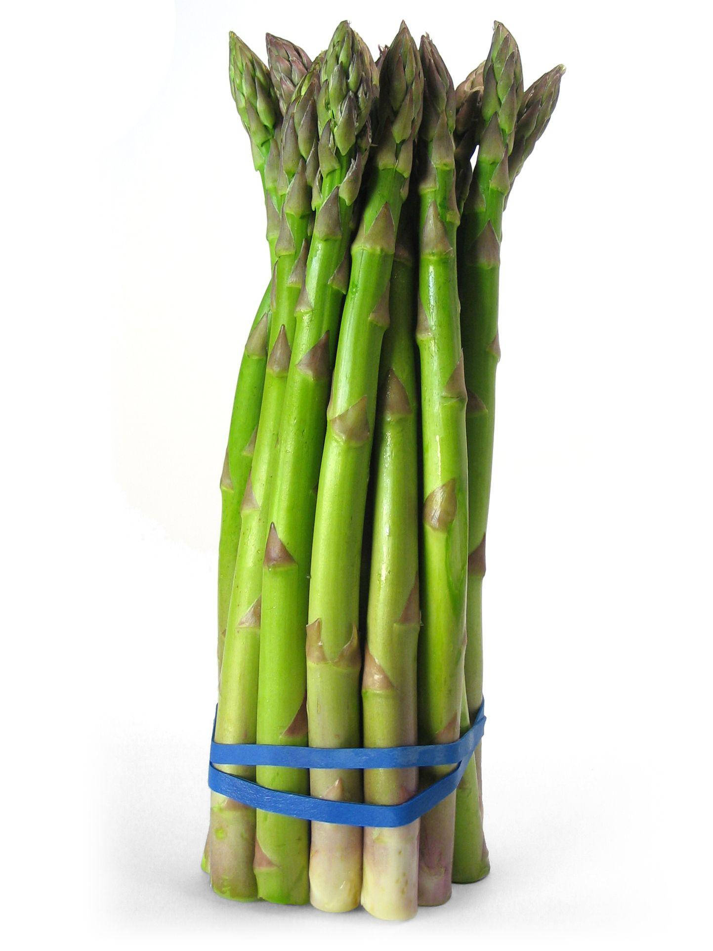 Asparagus 桌布 壁紙 — 一束新鮮的鮮綠色蘆筍，用藍色橡皮筋綁在一起，放在乾淨的白色背景上。