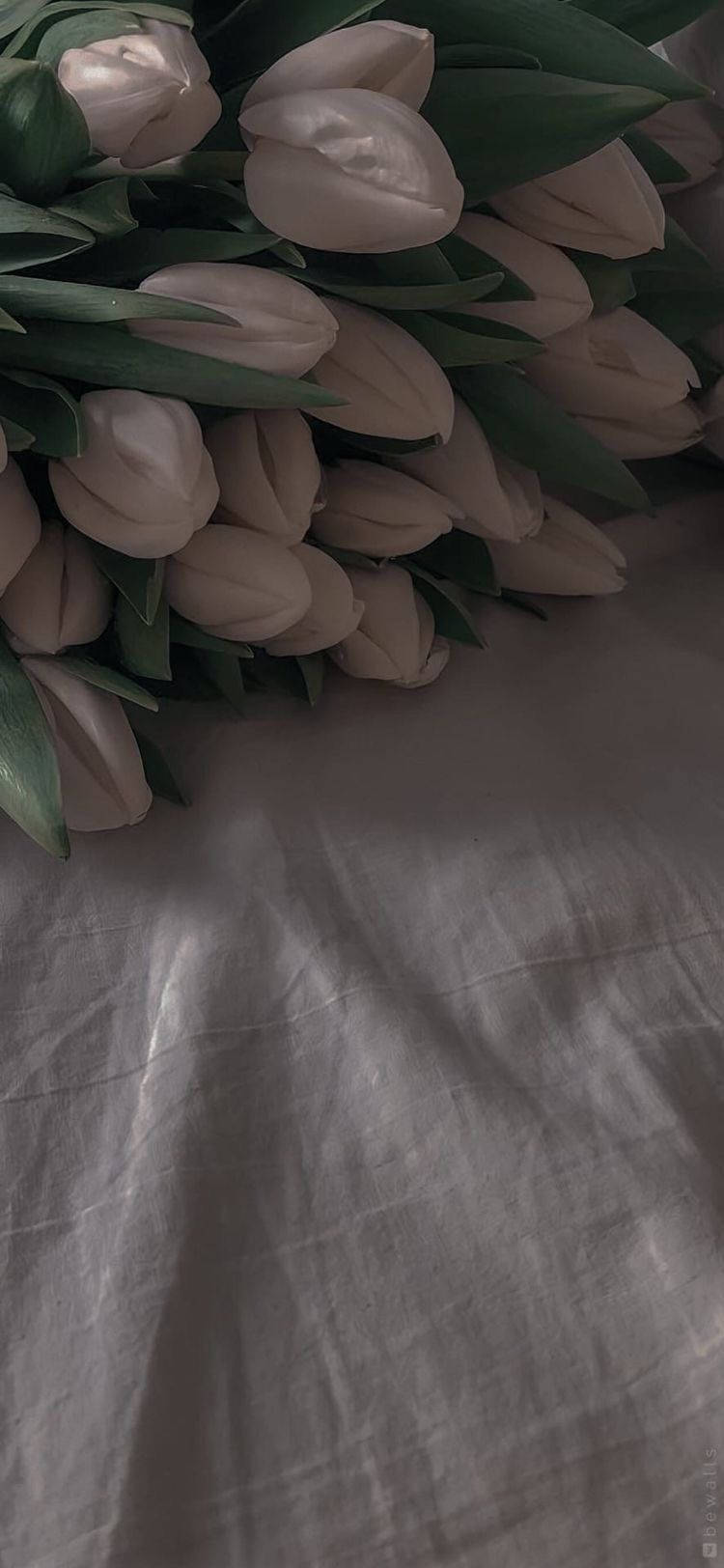 Tulips 桌布 壁紙 — 一束柔和的淡粉紅色鬱金香，搭配深綠色葉子，輕輕放在質感亞麻布面上，色調柔和。