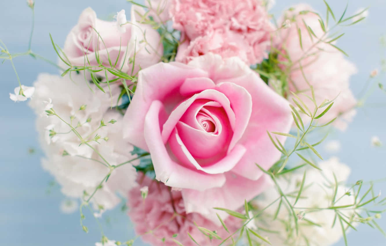 Rose Flower 桌布 壁紙 — 一束柔和的粉紅玫瑰和白色滿天星，襯著淡藍色背景。