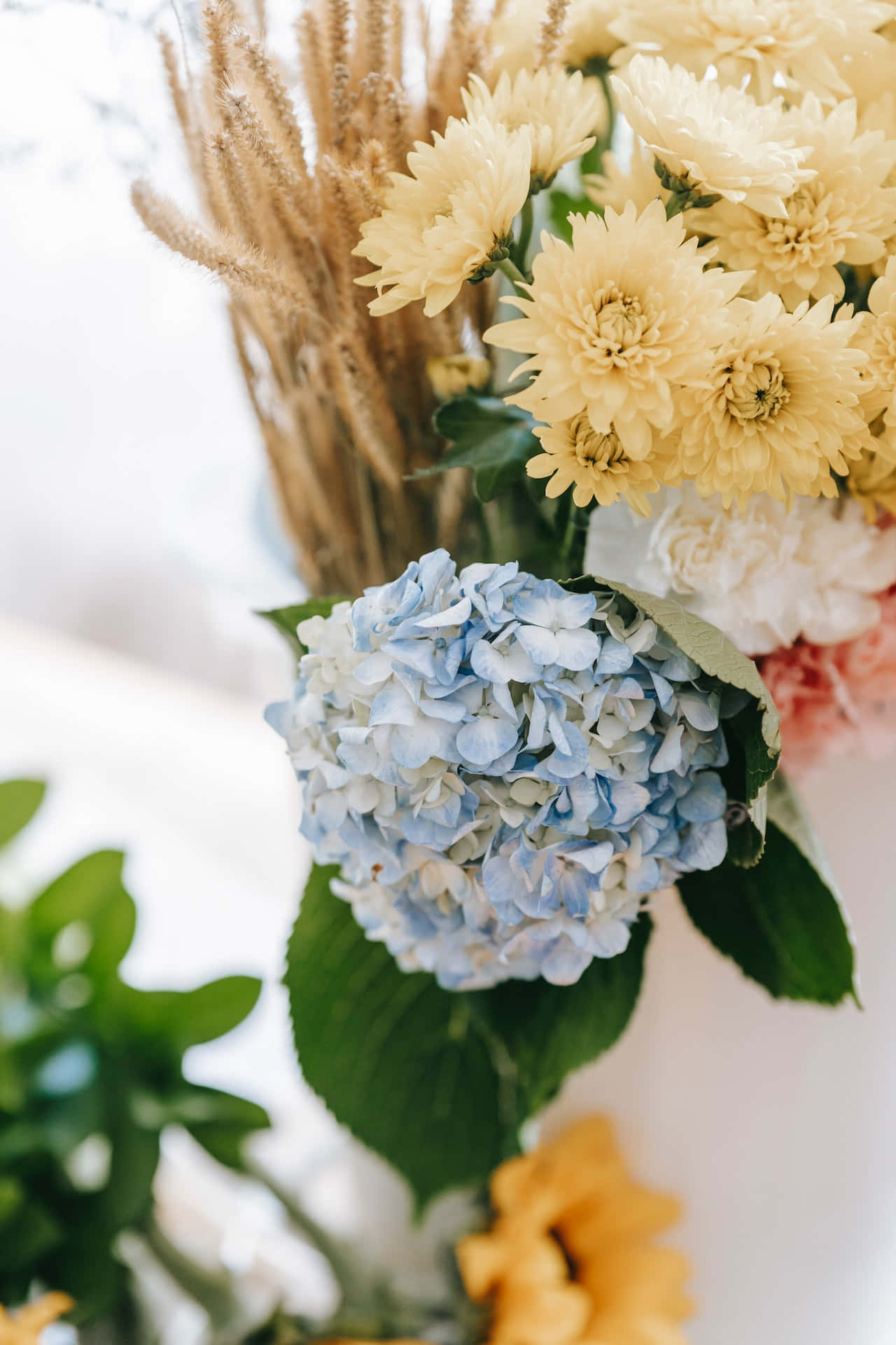 Flowers 桌布 壁紙 — 一束柔和的藍色繡球花、黃色菊花和小麥莖，搭配茂盛的綠葉，在明亮的白色背景上。